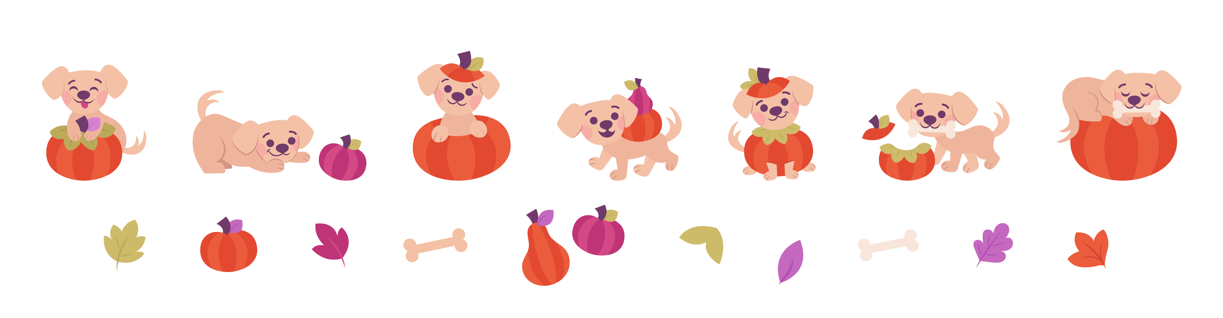 Assets-10.png
