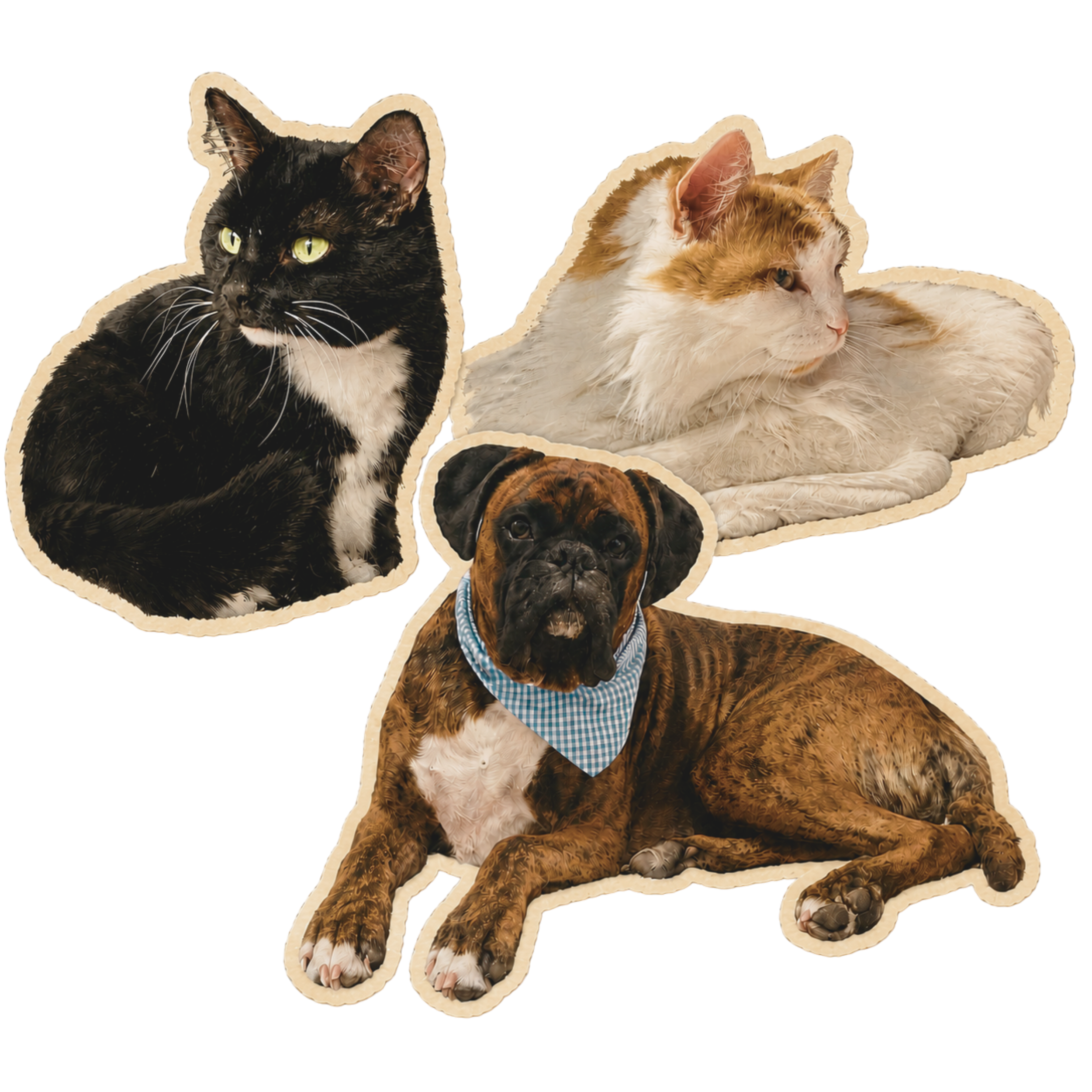 cute animal collage cats and dogs vintage love animals unique