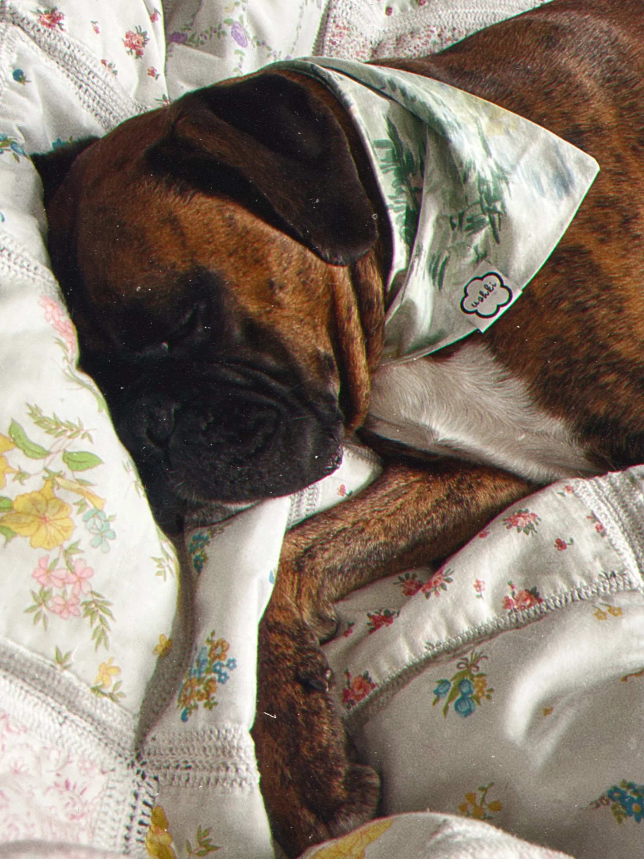 ☁️ sweet dreams in the gorgeous Monette print ☁️