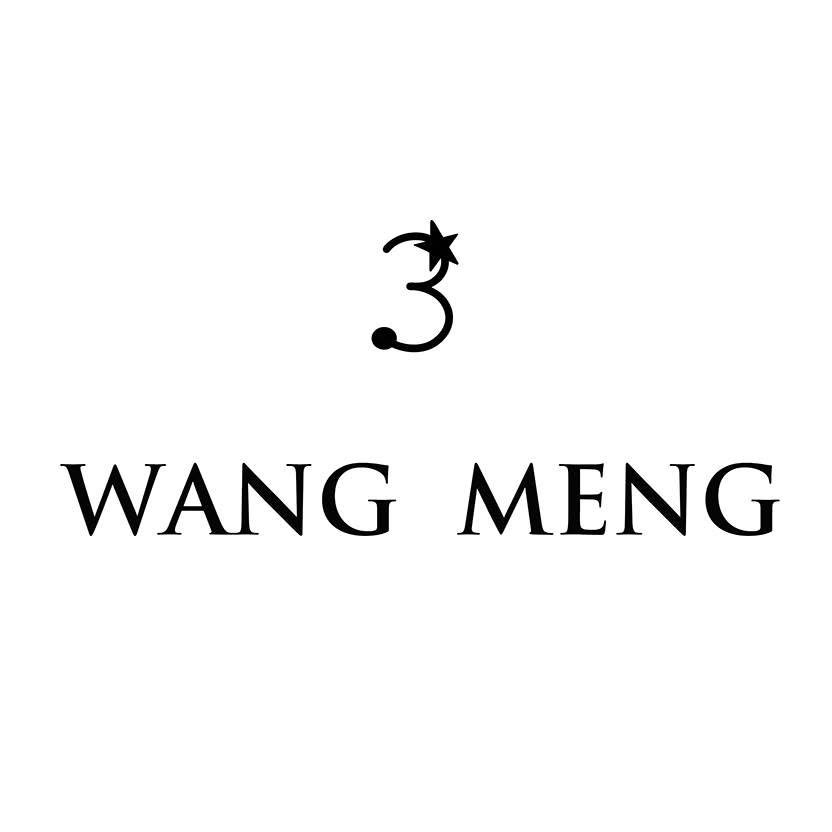 Wang Meng.jpg