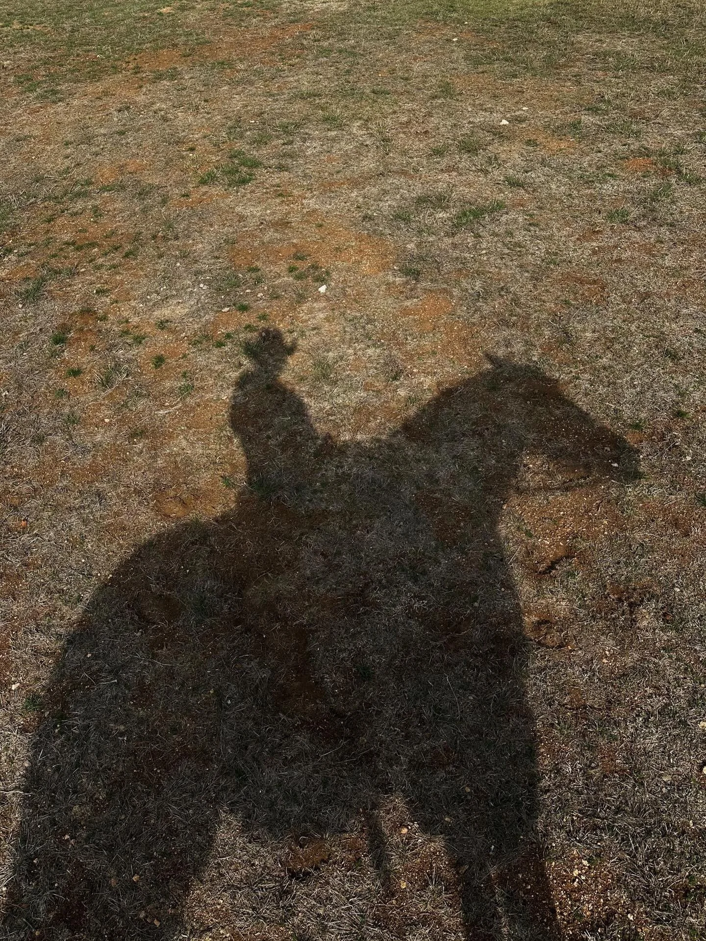 Horse power