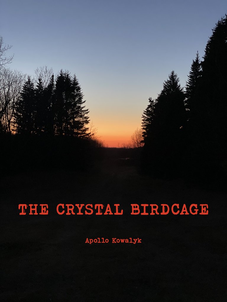 The Crystal Birdcage book cover
