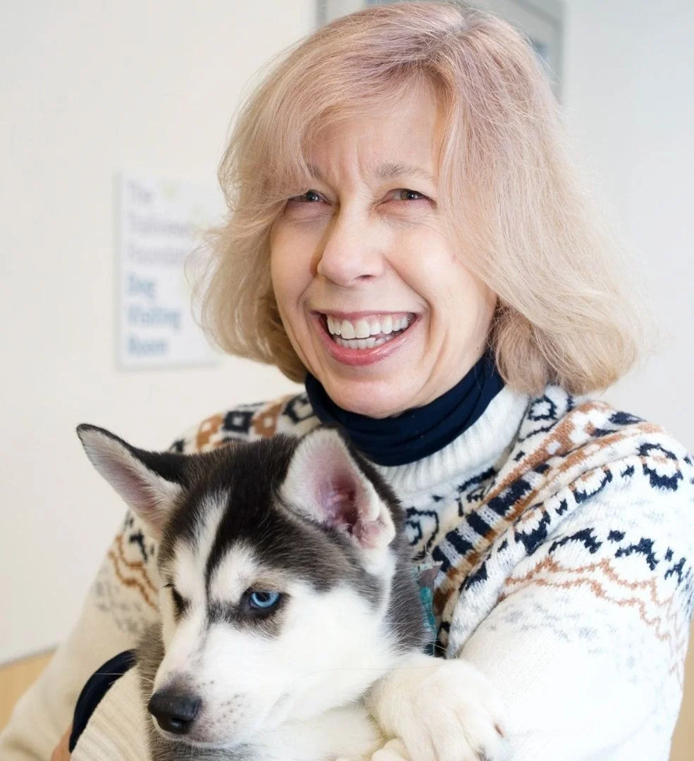 Rescued Husky Pup at Cosgrove.jpg