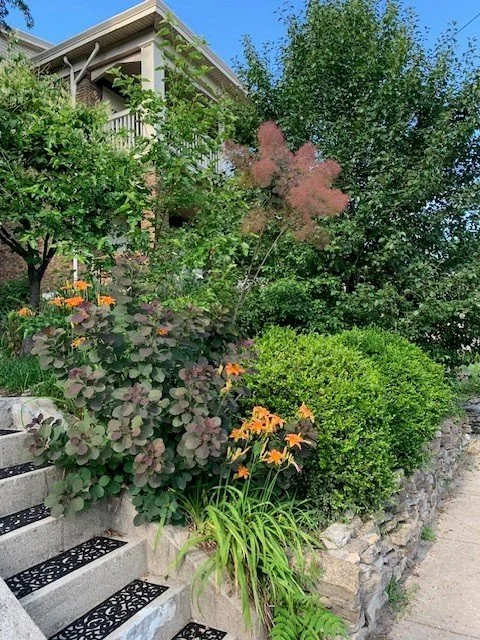 Outside Stairs to Back Yard