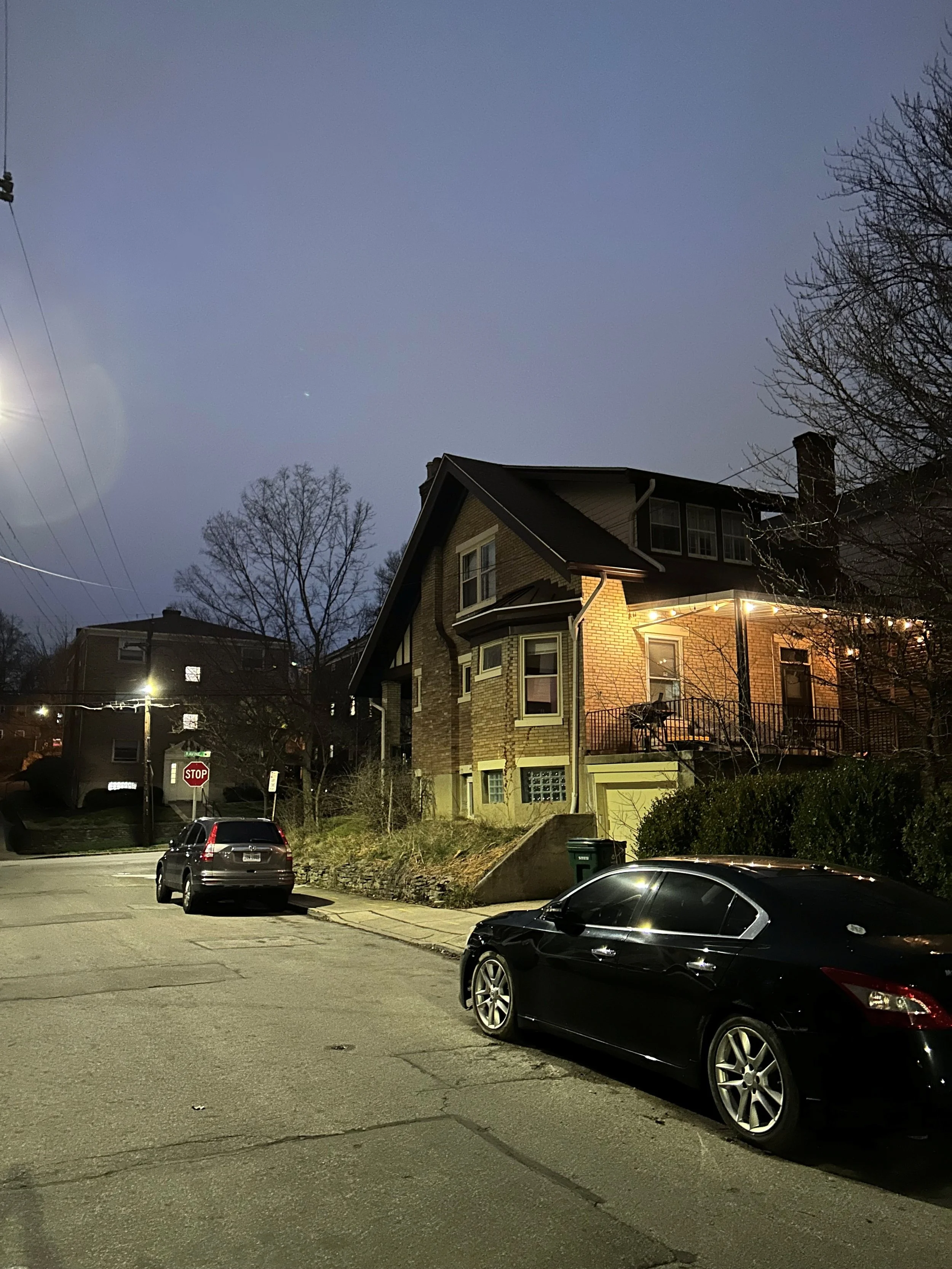 Parking along Volkert