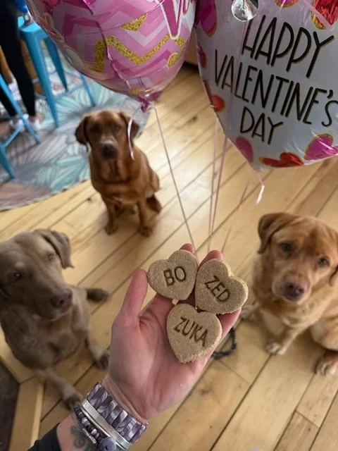 Dogs Valentine.jpg