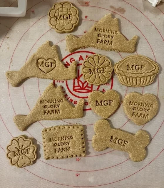 Morning Glory Farm.jpg