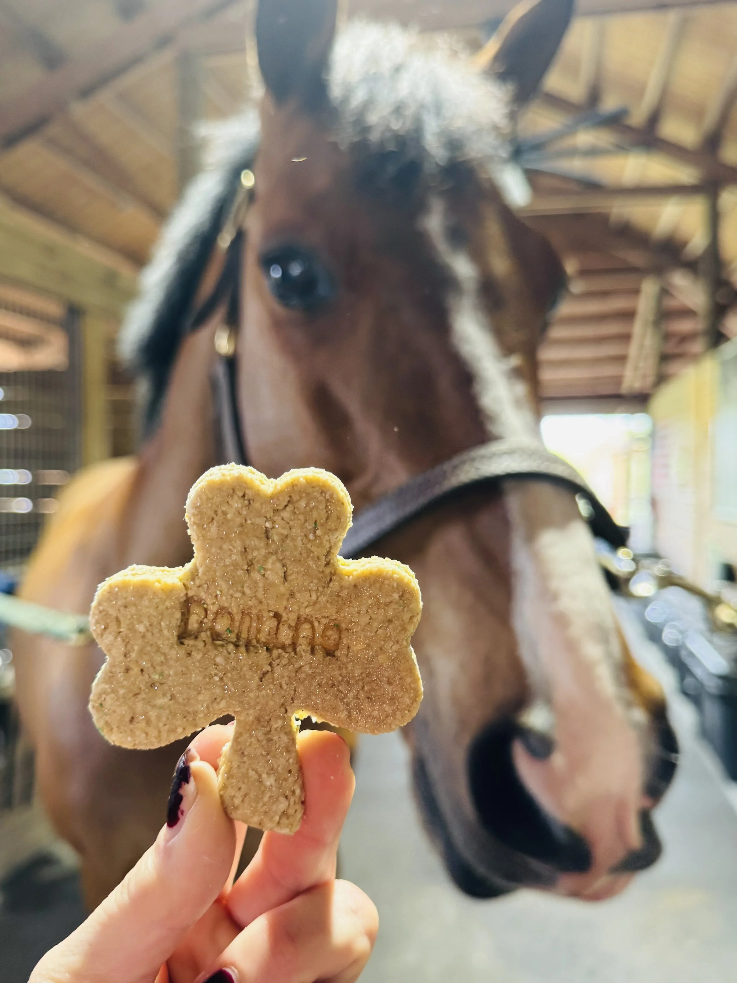Horse Treats