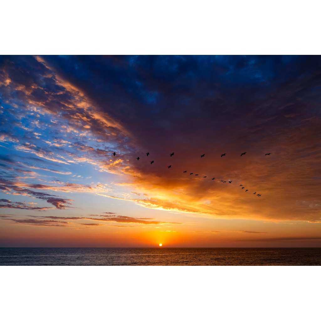 Formation Sky