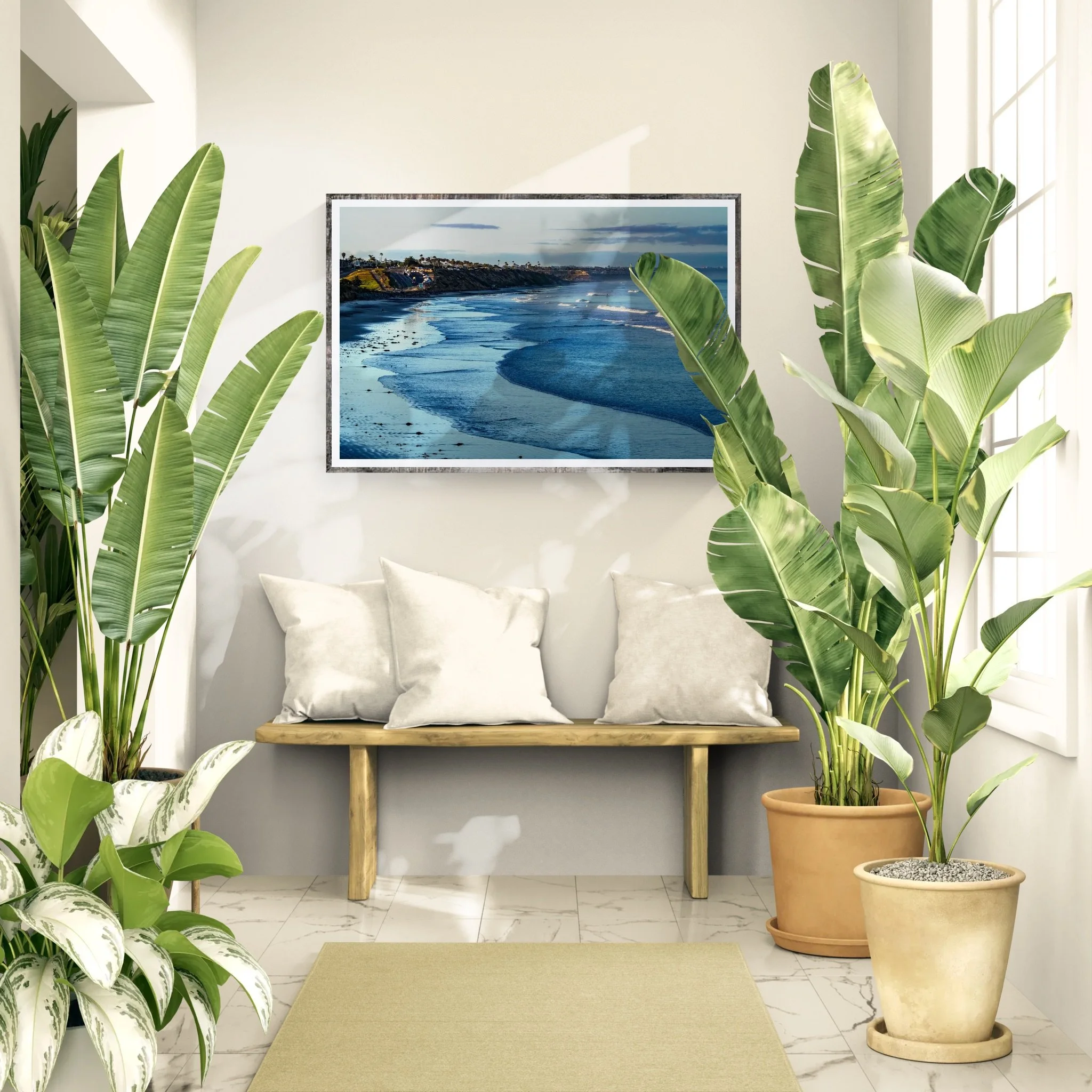 Sunlit room with large tropical plants.jpeg