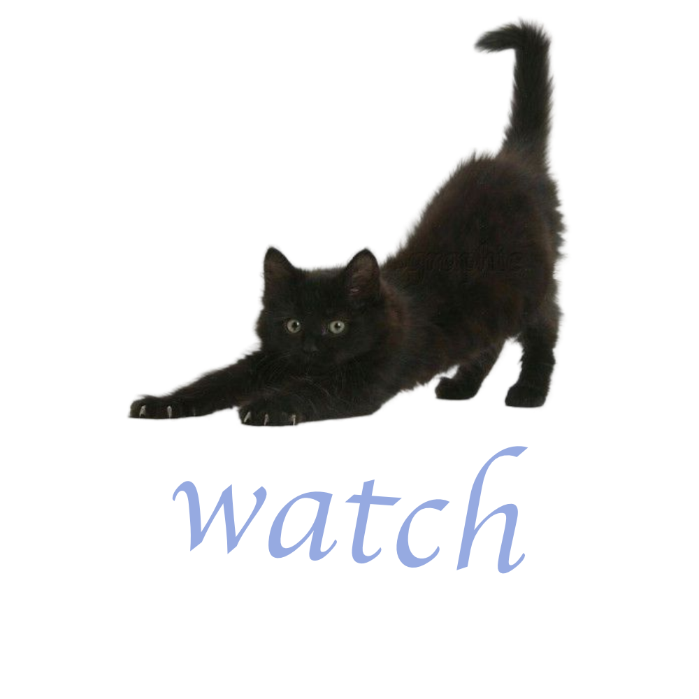 A black cat stretching with its front paws extended forward and back arched, with the word 'KOTSA' written below.