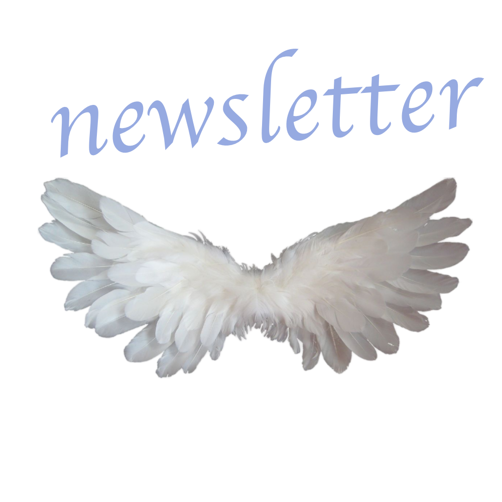 The image features white angel wings in front of the Reddit logo with the word "Memes" above.