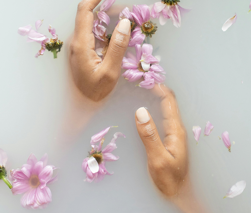 Two hands with light skin tone holding pink flowers in milky bathwater with scattered flower petals.