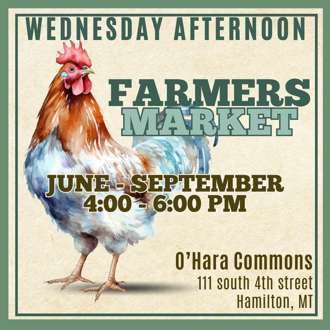 Farmers market 7/15
