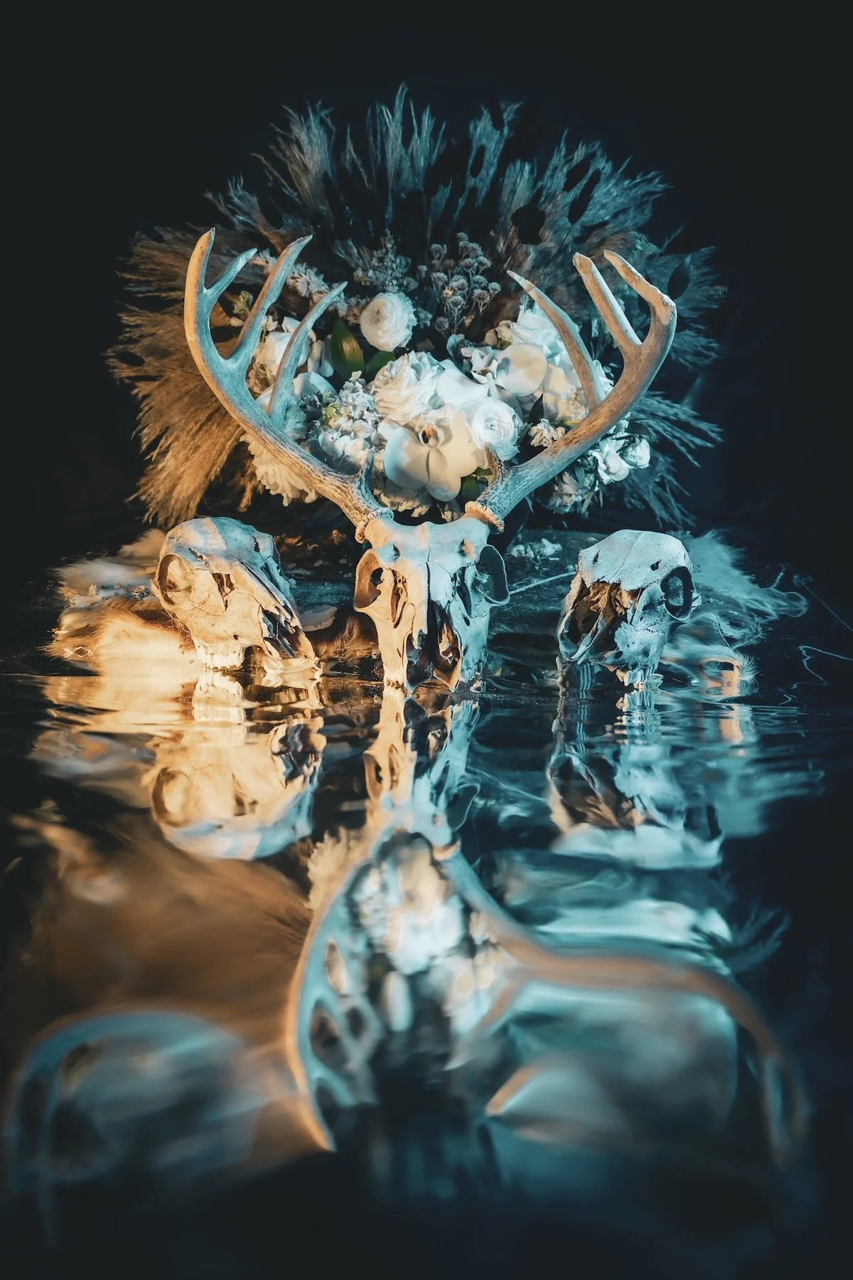 Wieding_FloralSkull_1_2024.jpg