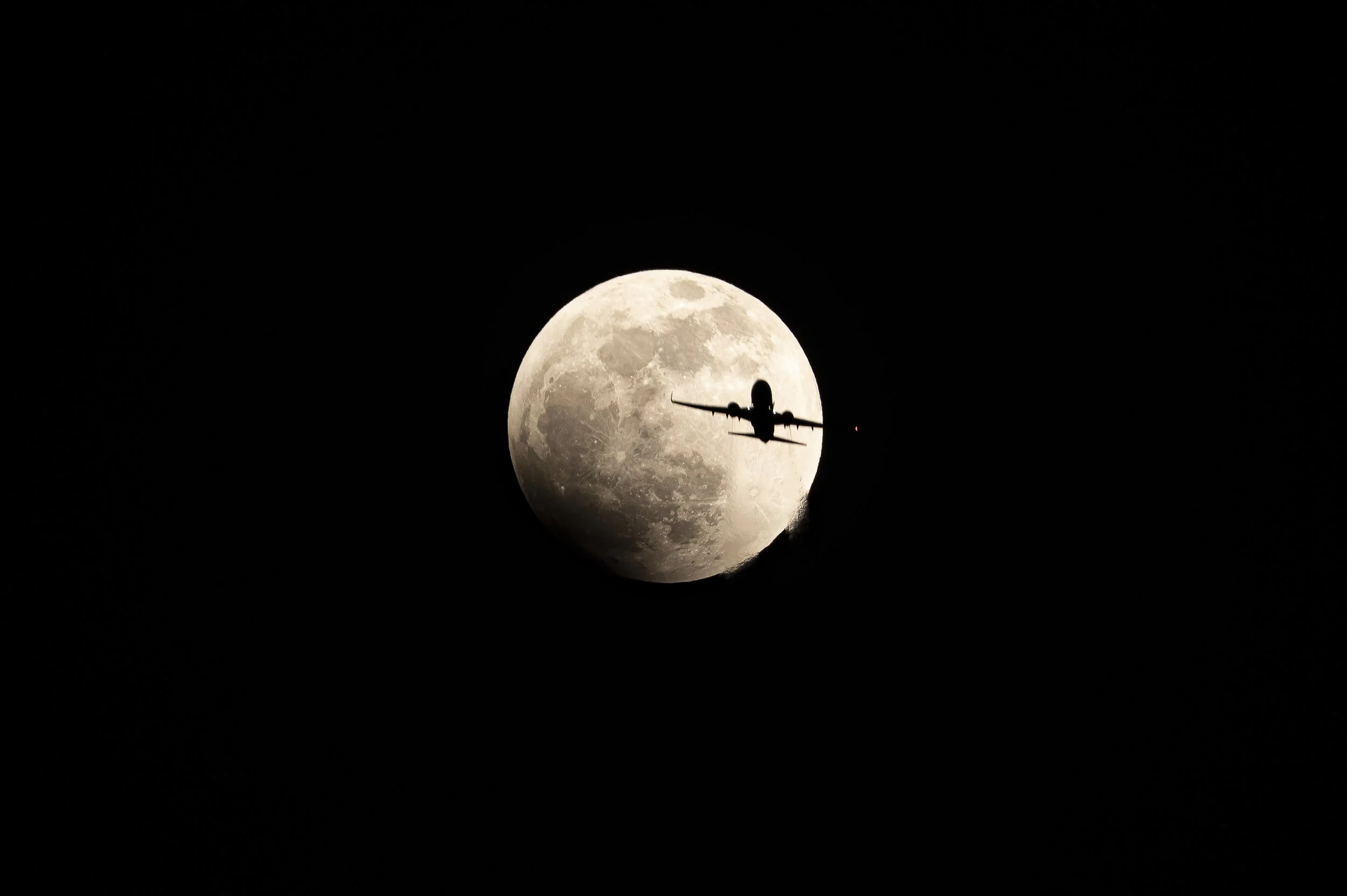 22.05.15_LunarEclipsePlaneAustin_AnnAlvaWieding RumpWarbler_AnnAlvaWieding.jpg
