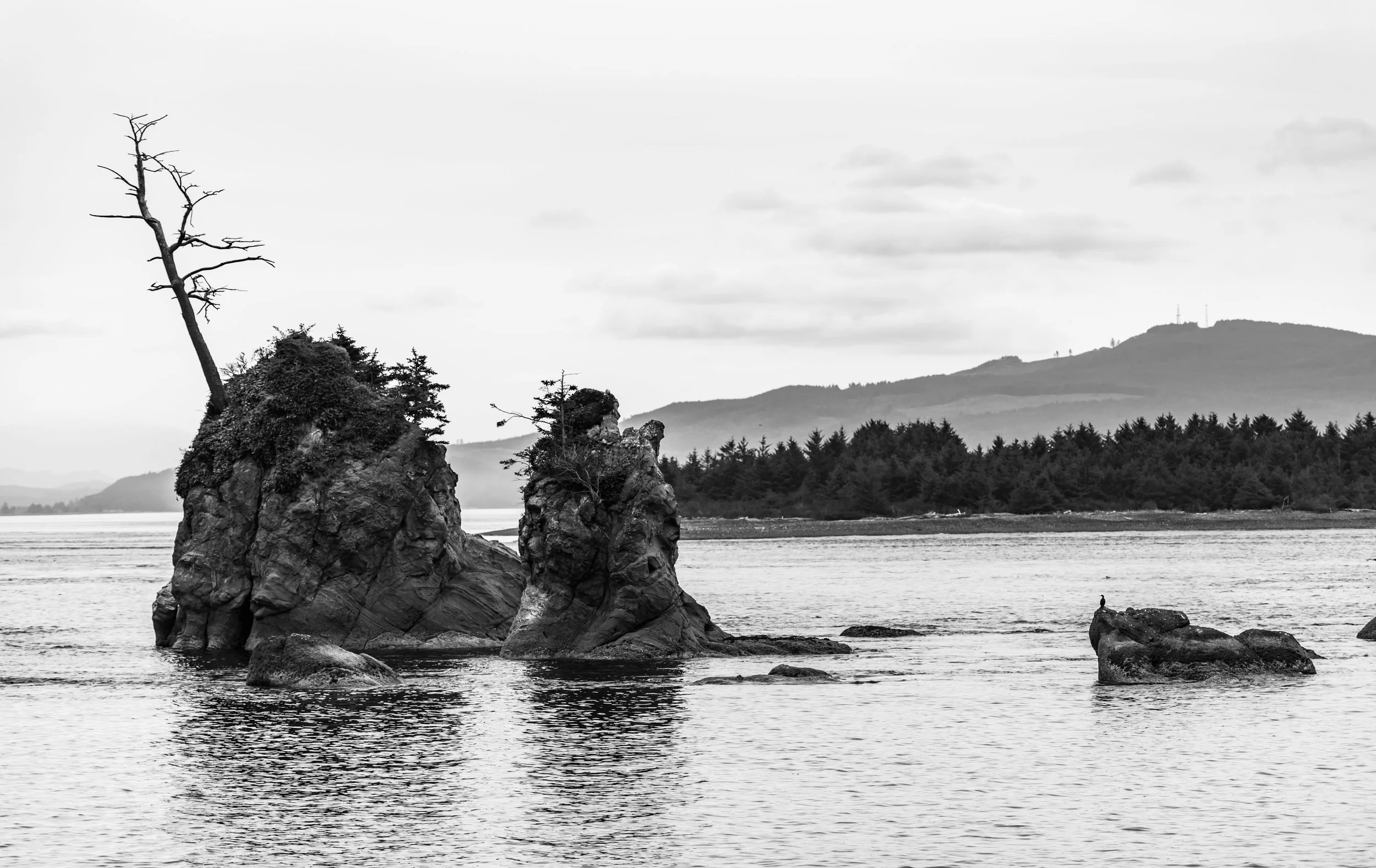 18.08.25_Oregon Bay_AnnAlvaWieding-1.jpg