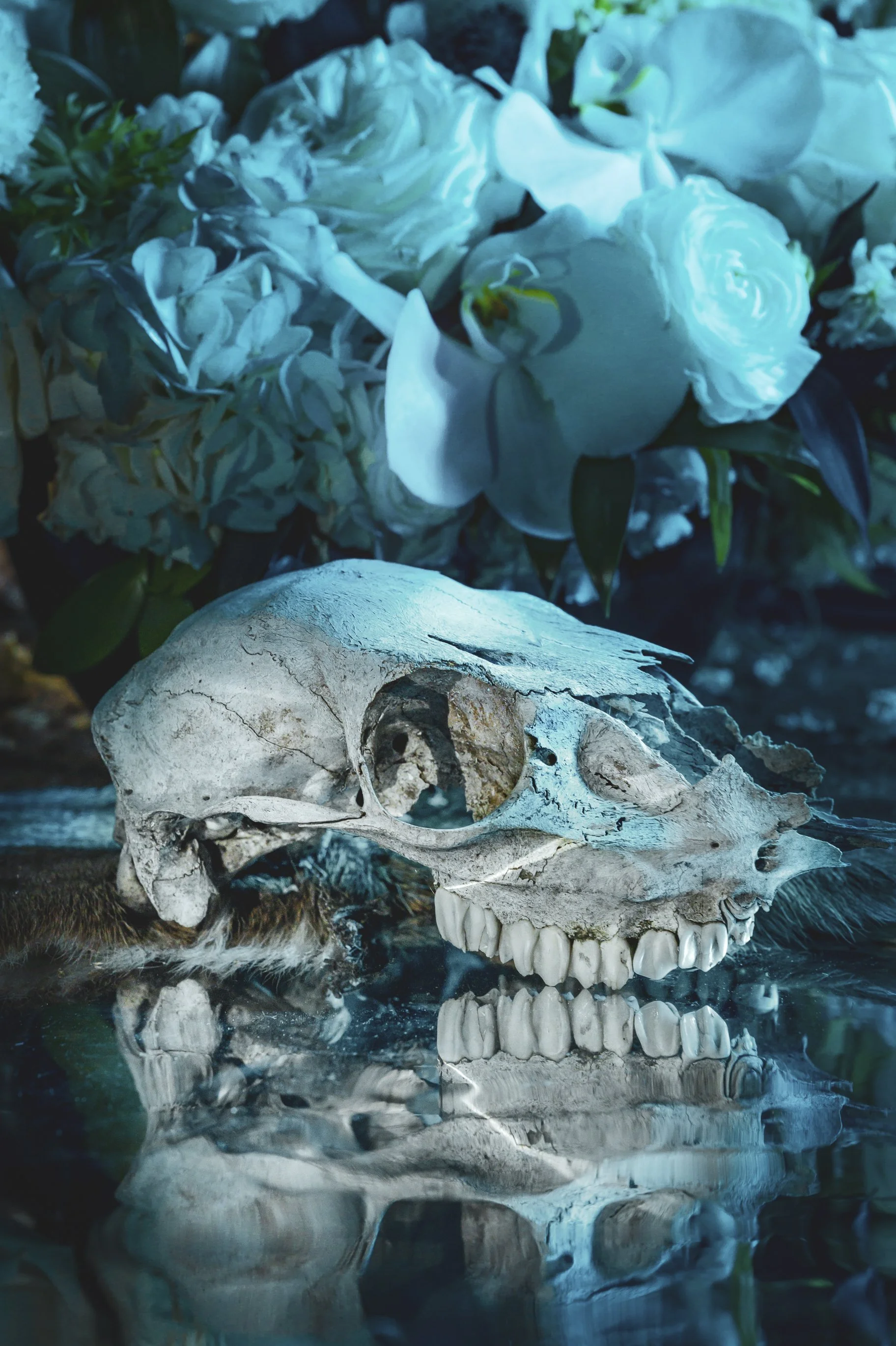 26.11.05_FloralSkull_FINAL-3.jpg