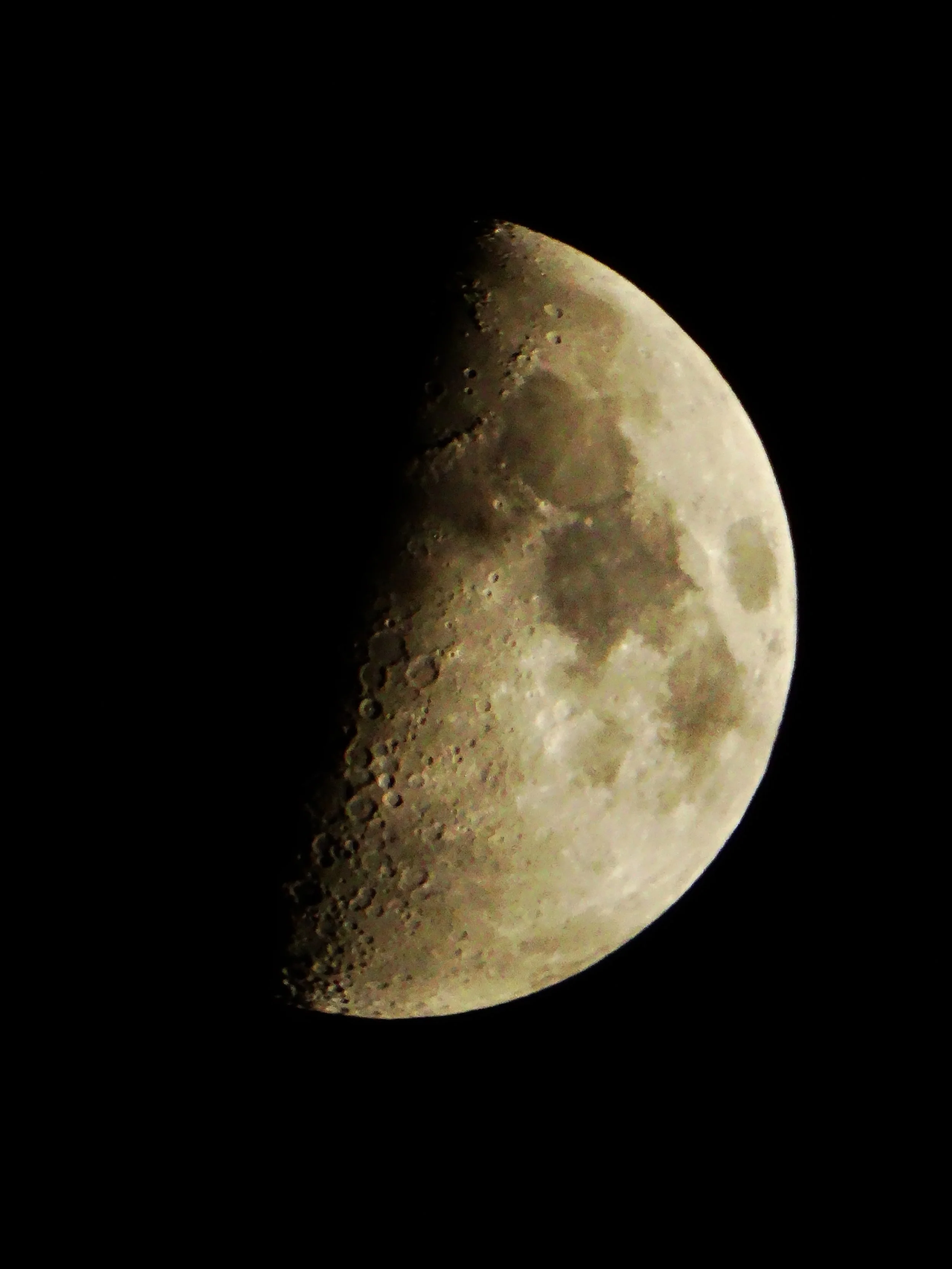 DSC03755 2.jpg