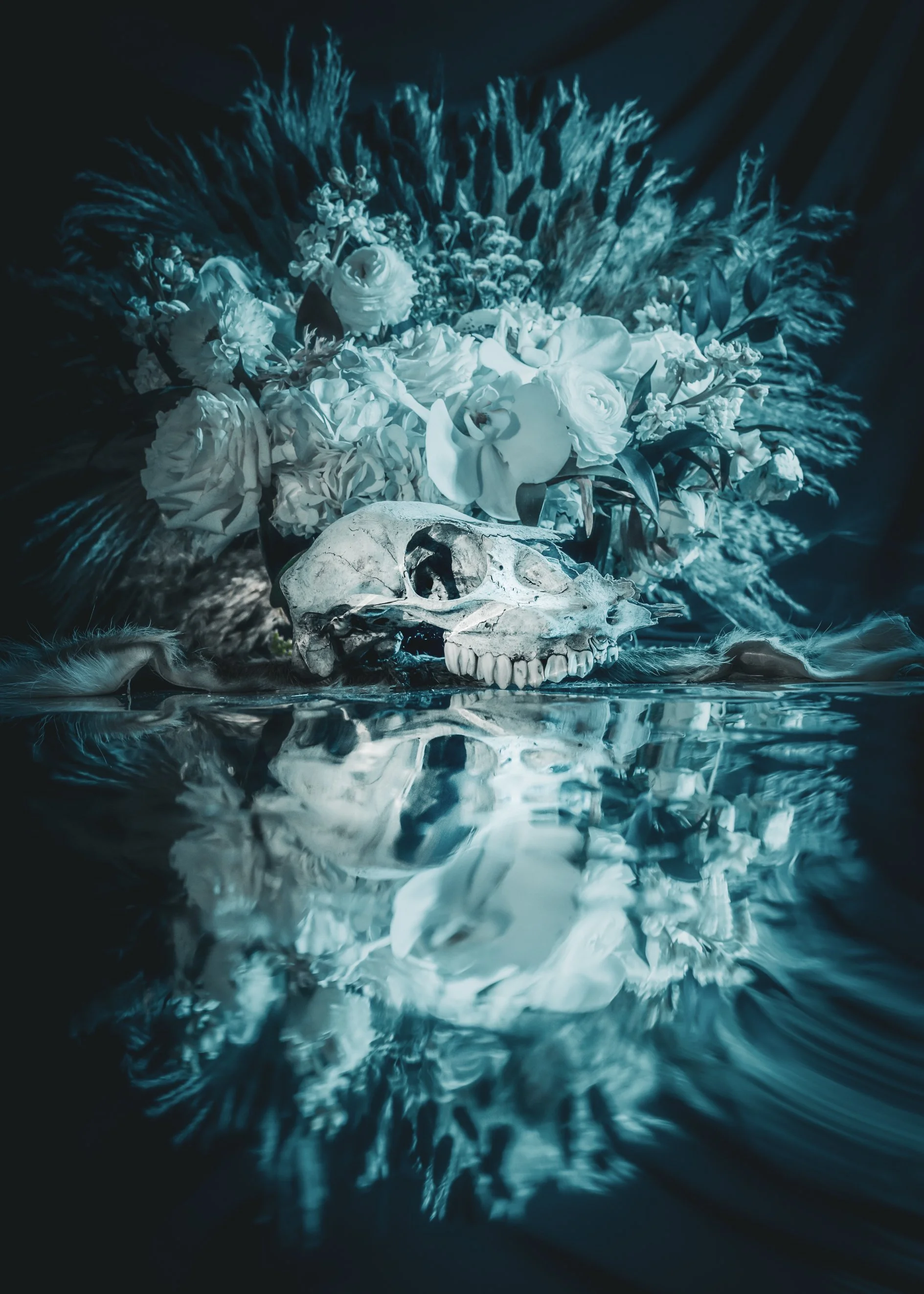 26.11.05_FloralSkull_FINAL-2.jpg