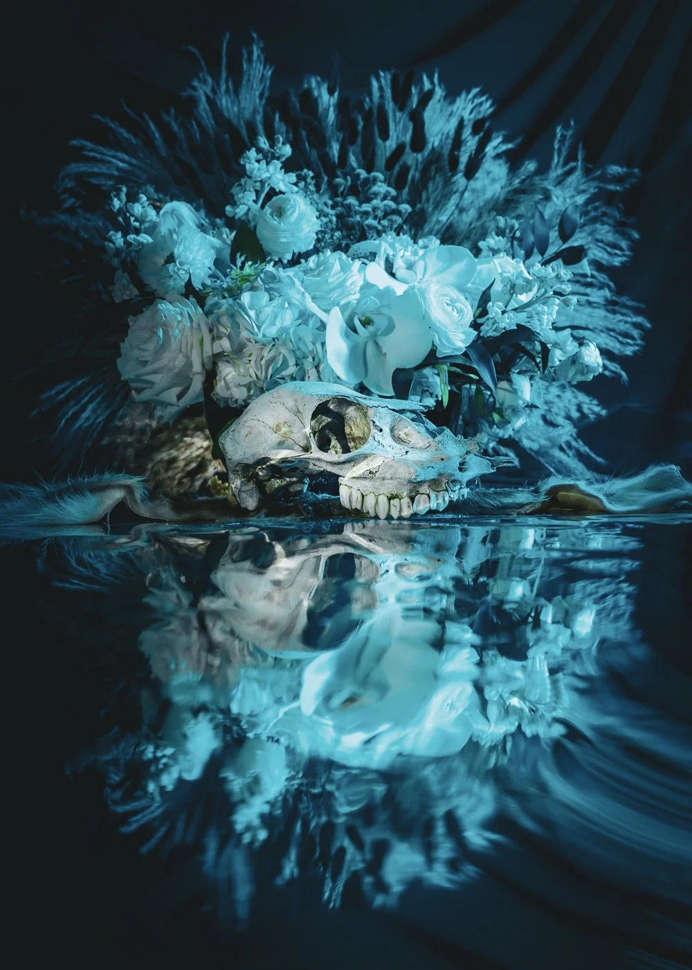 Wieding_FloralSkull_2.jpg