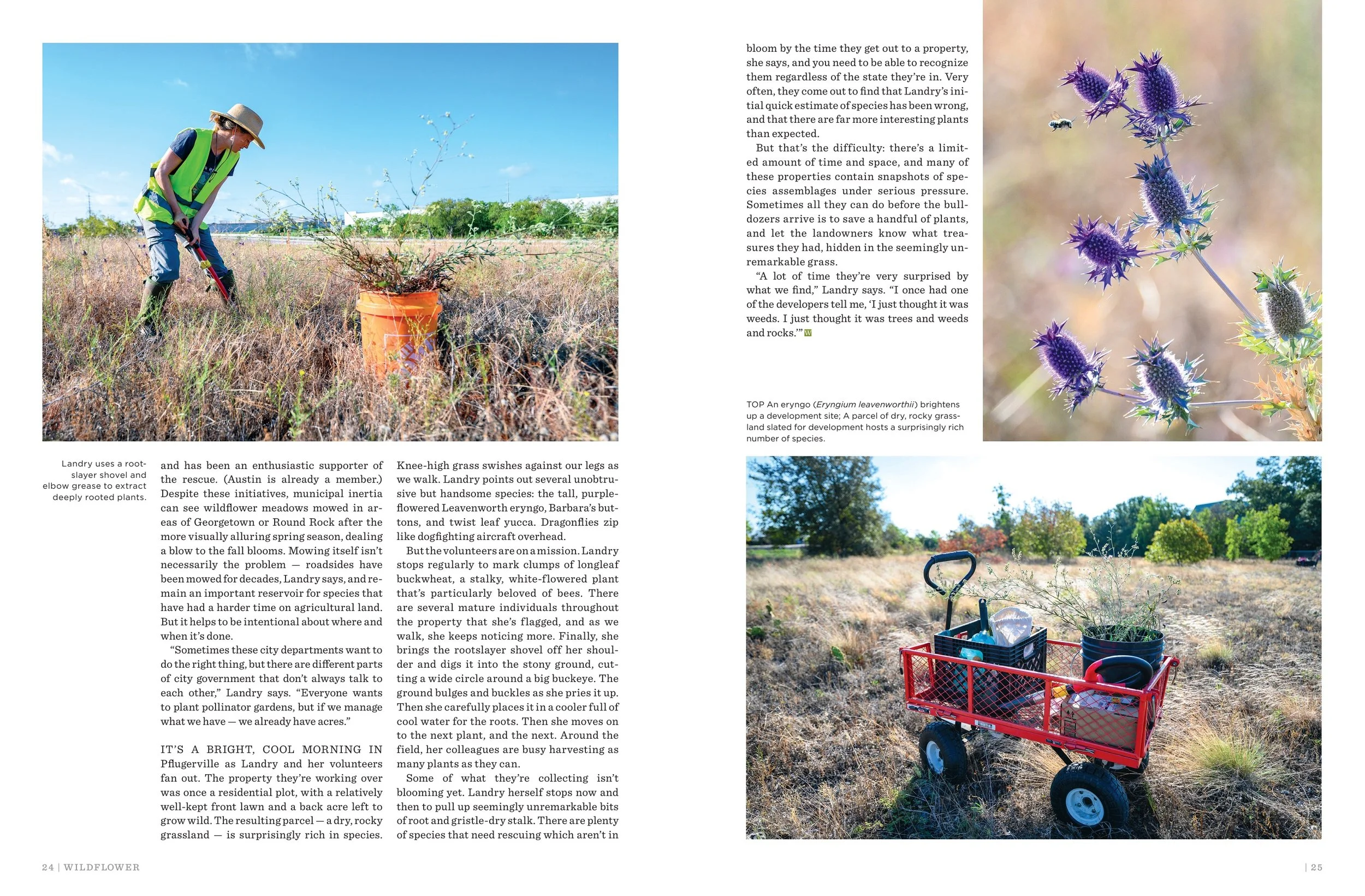 2023 v40 no1_Horticultural Heroes_page_4.jpeg