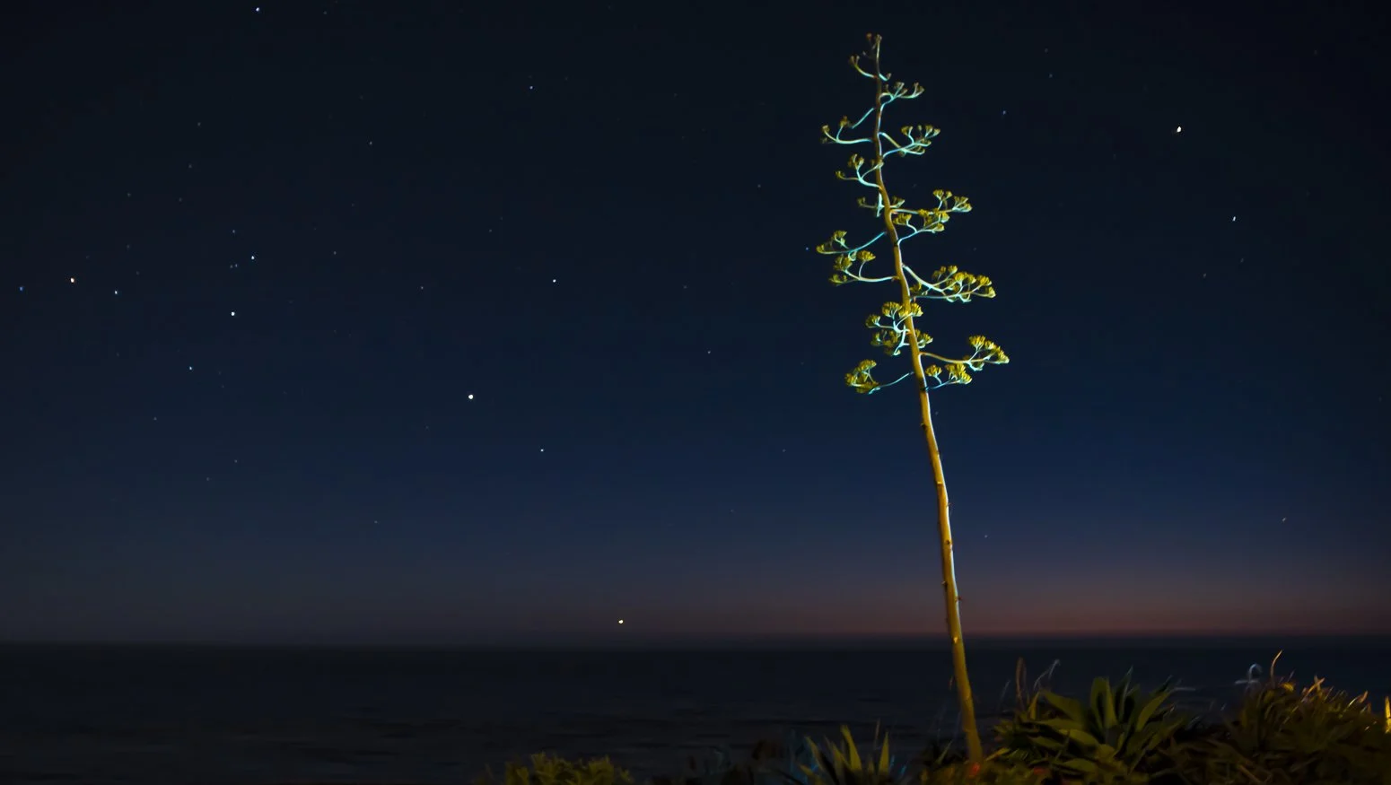 AAWP_2018_Big_Sur_Night_Shot_Website_Color.jpg