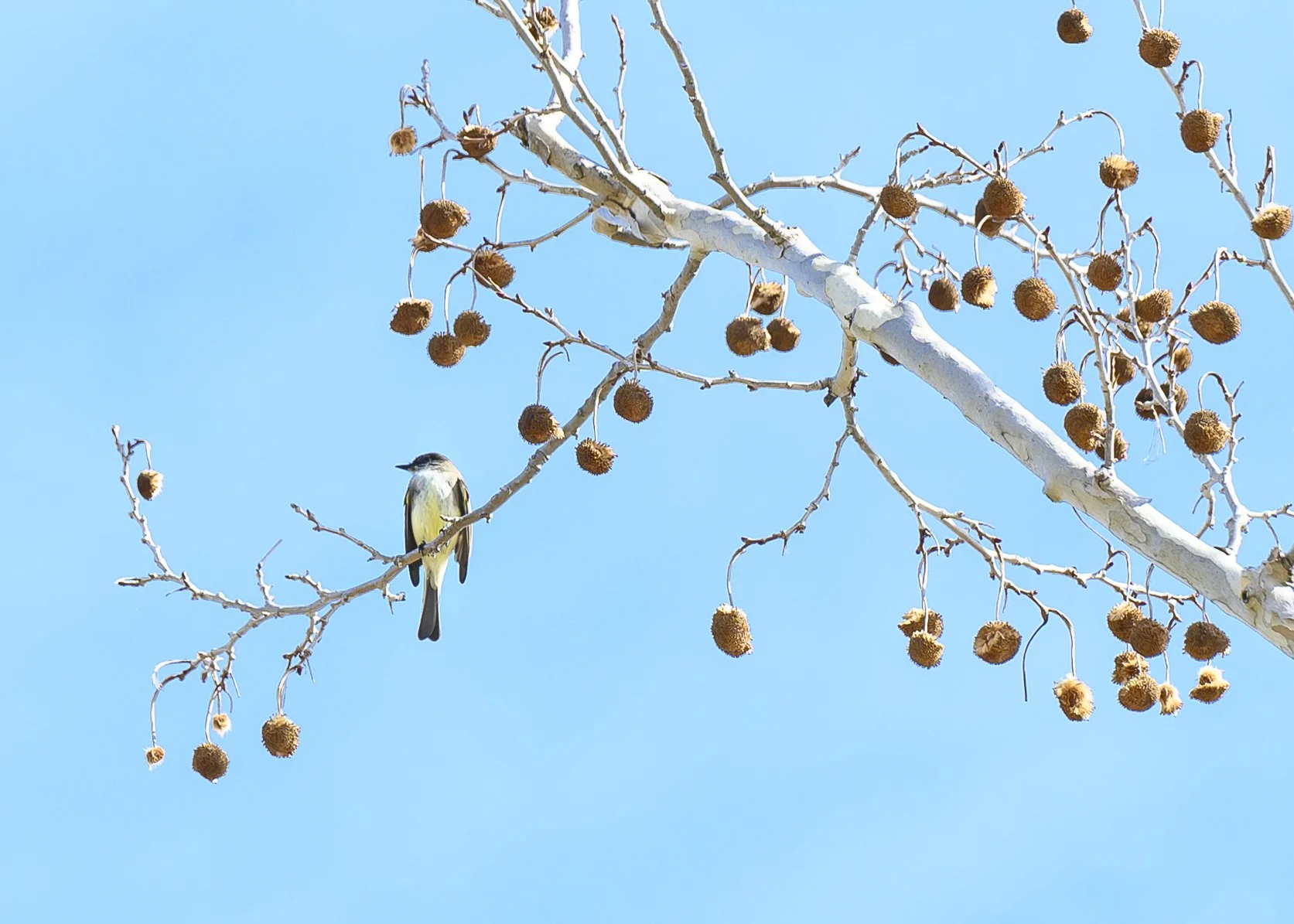 22.02.20_CommonsFord_AnnAlvaWieding-1.jpg