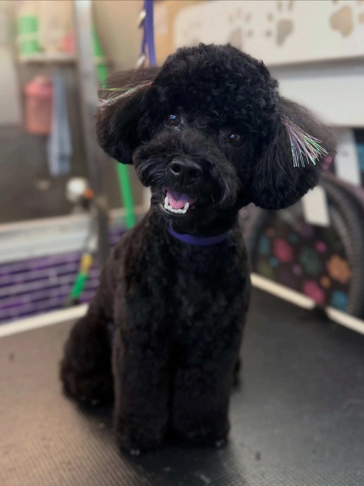 Princeesssssssssss ahhhhh you always clean up beautifully