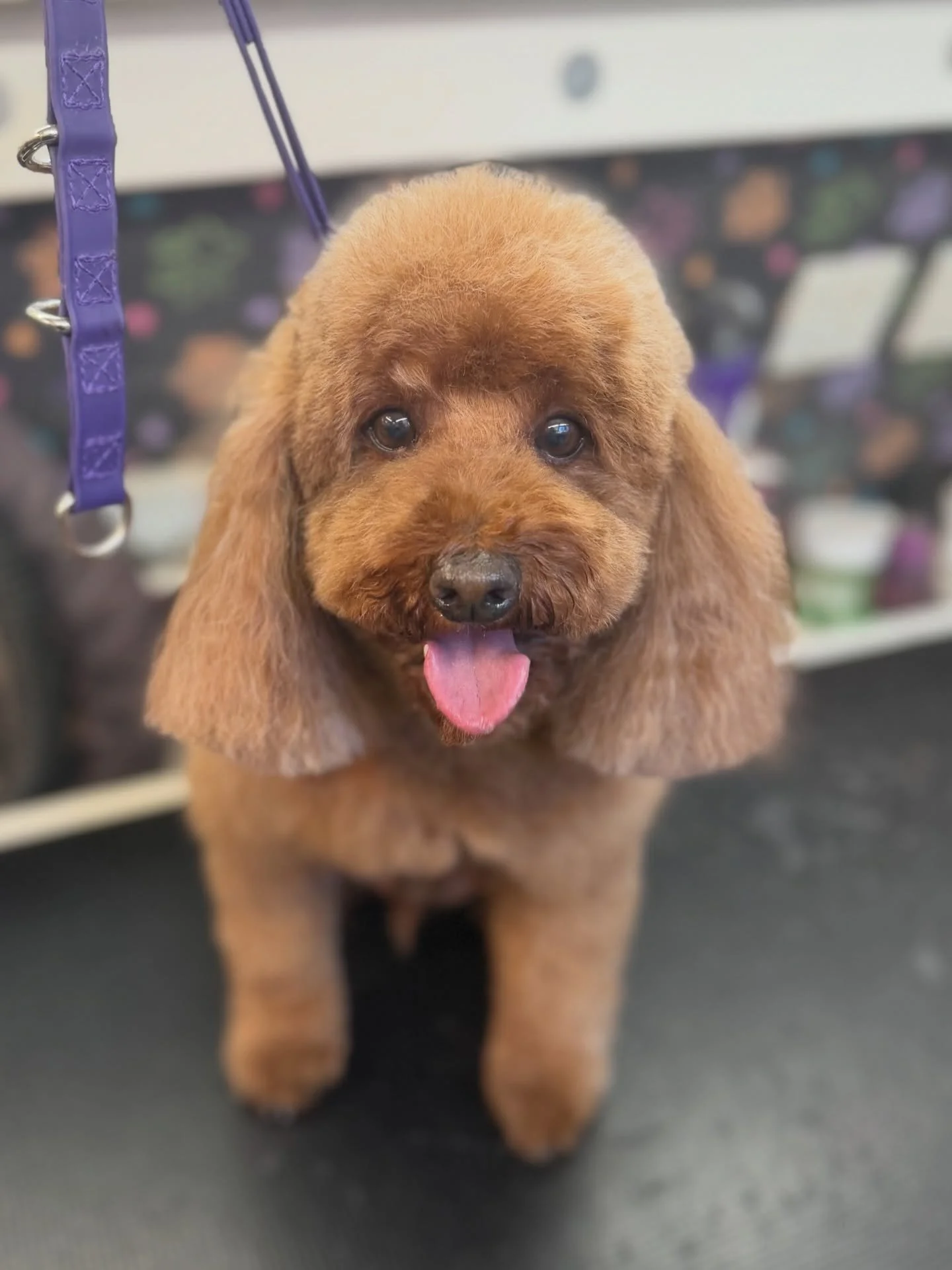 First timers are always the best!