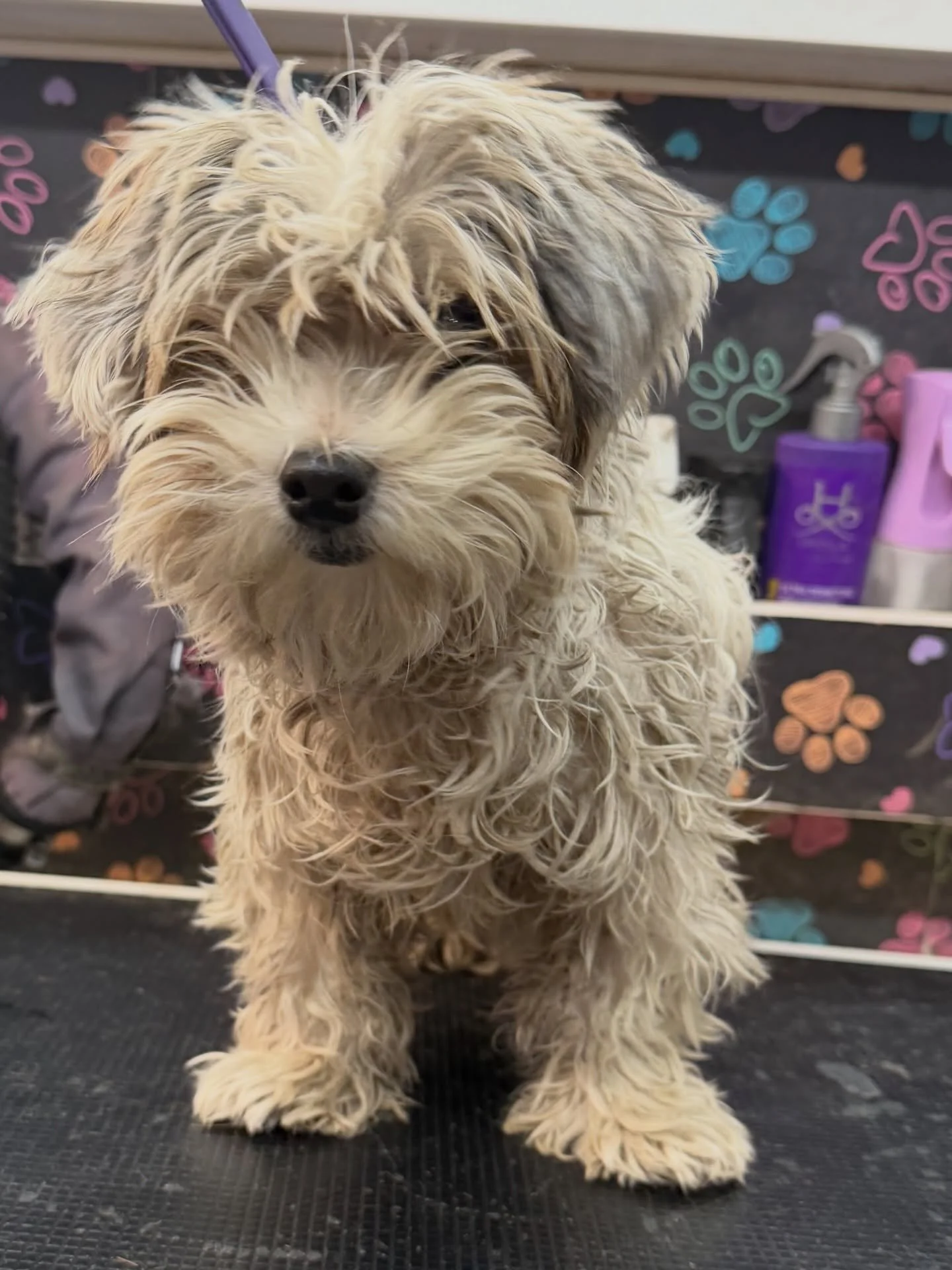 I can never tell what&rsquo;s underneath the hair