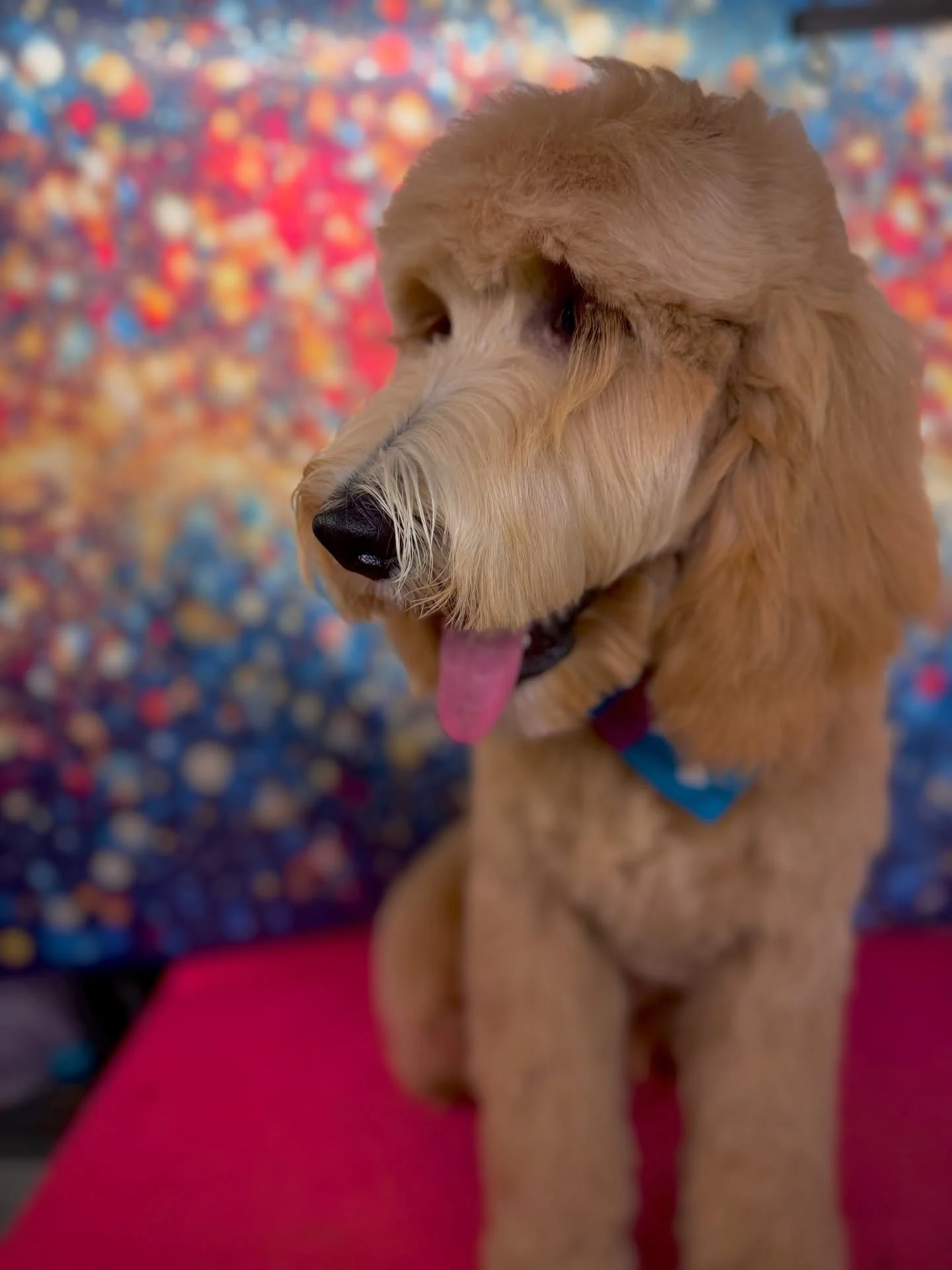 Baby boys first haircut🥺