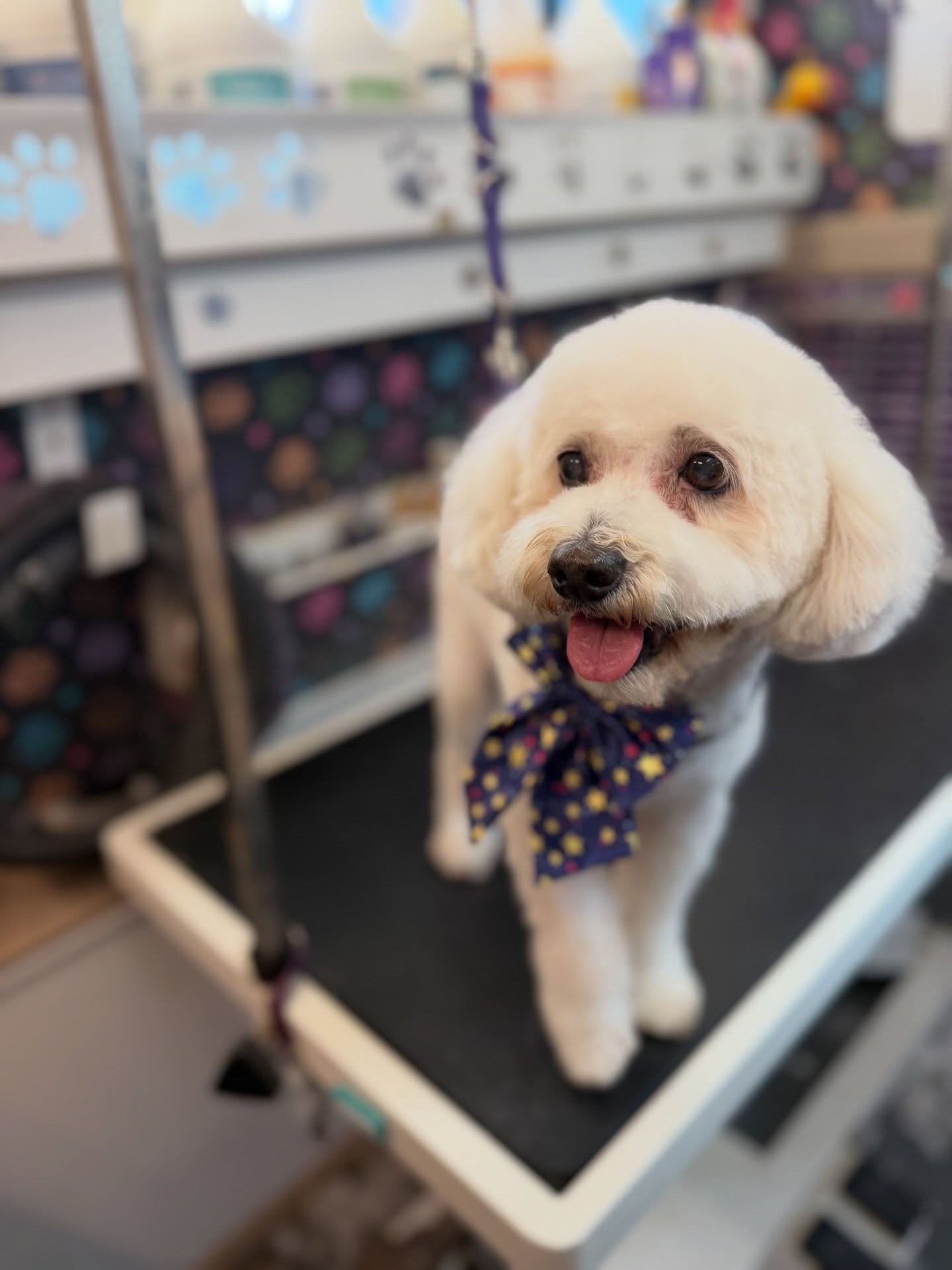 You ever have someone tell you or treat you as replaceable? I think we all have. Rocky reminded me of how wrong that is. Thank you Rocky