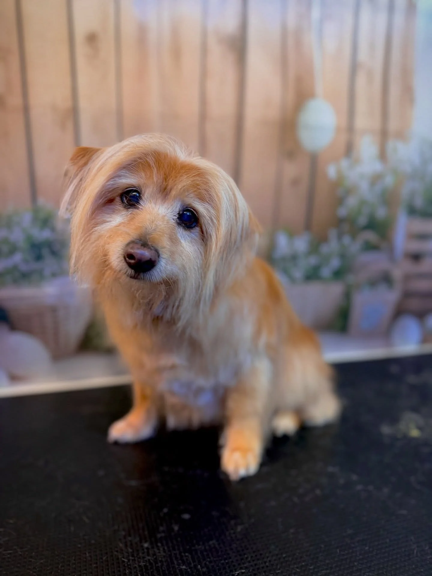 Just a little tidy up does wonders🙌🏻💕✨