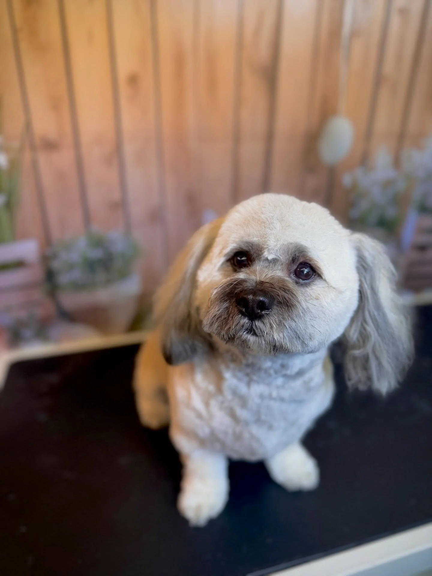 Such a pleasure to see you again Doobie and Mia!! Can&rsquo;t wait to see you again💕🥹