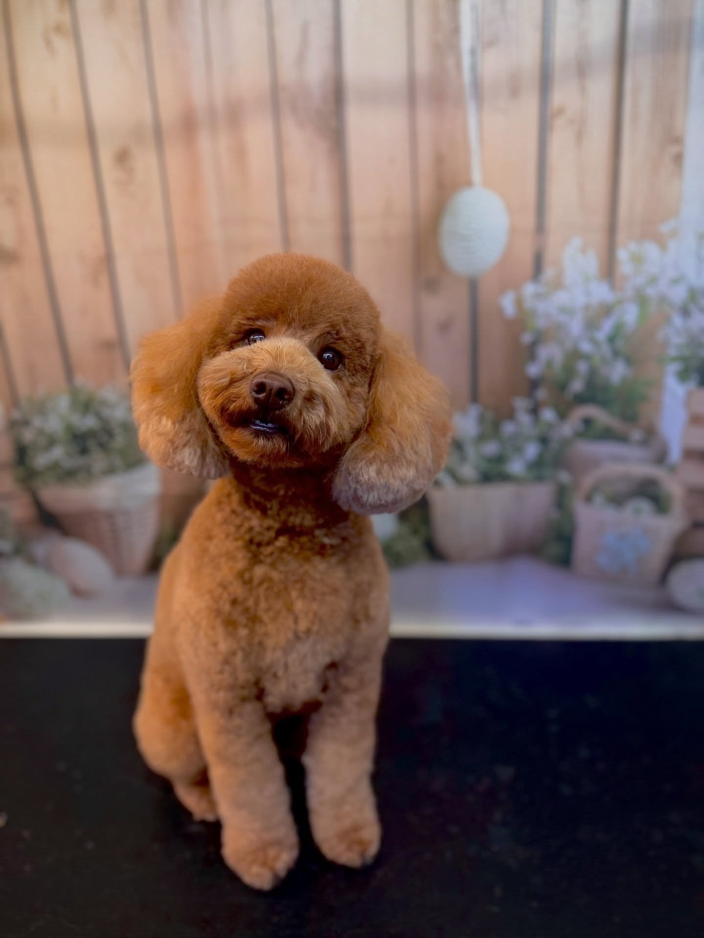 CANELLAAAAAAAAAAA HOW ARE YOU SO CUUUTTTEEE