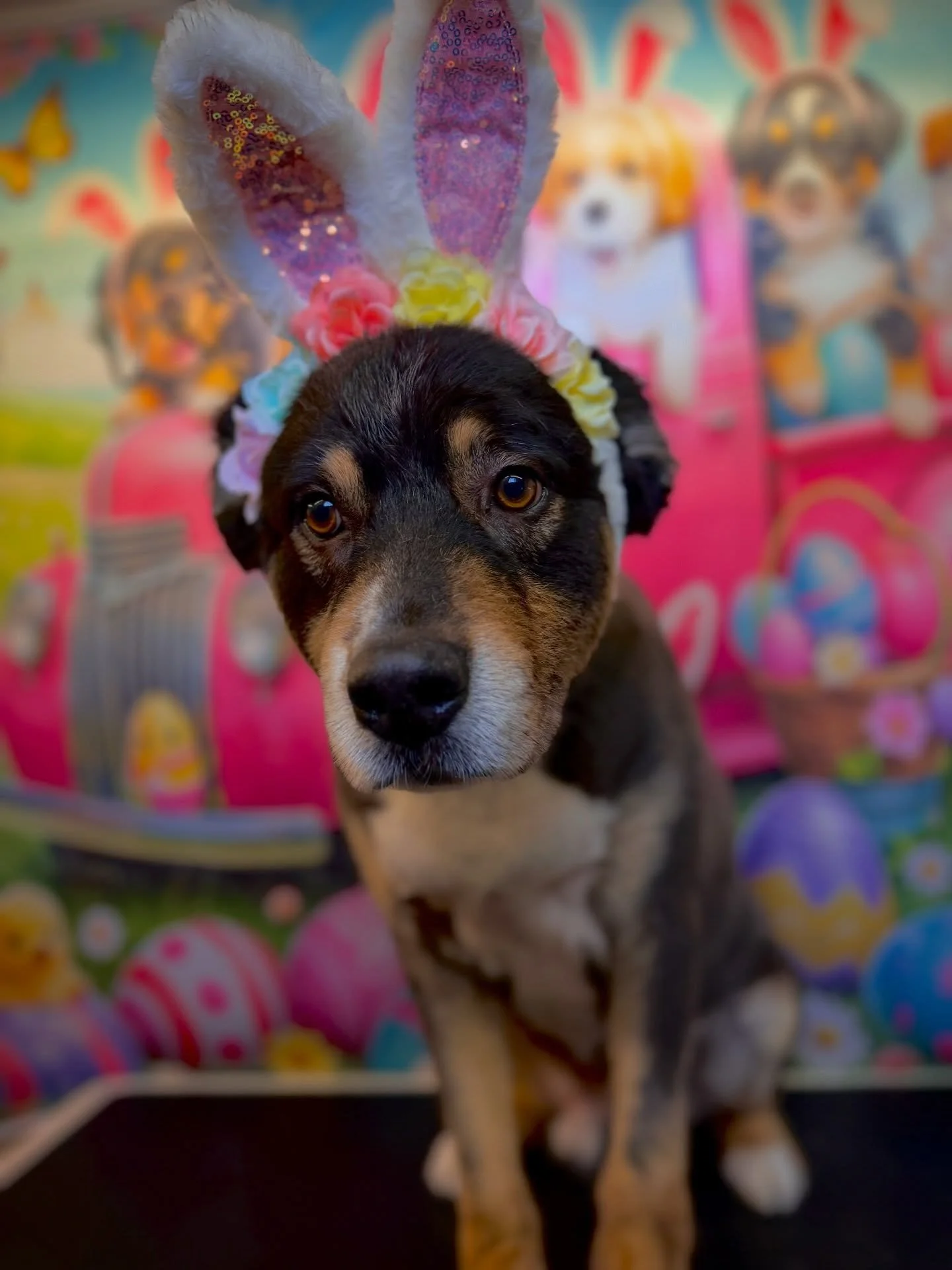 New backdrops are always the best