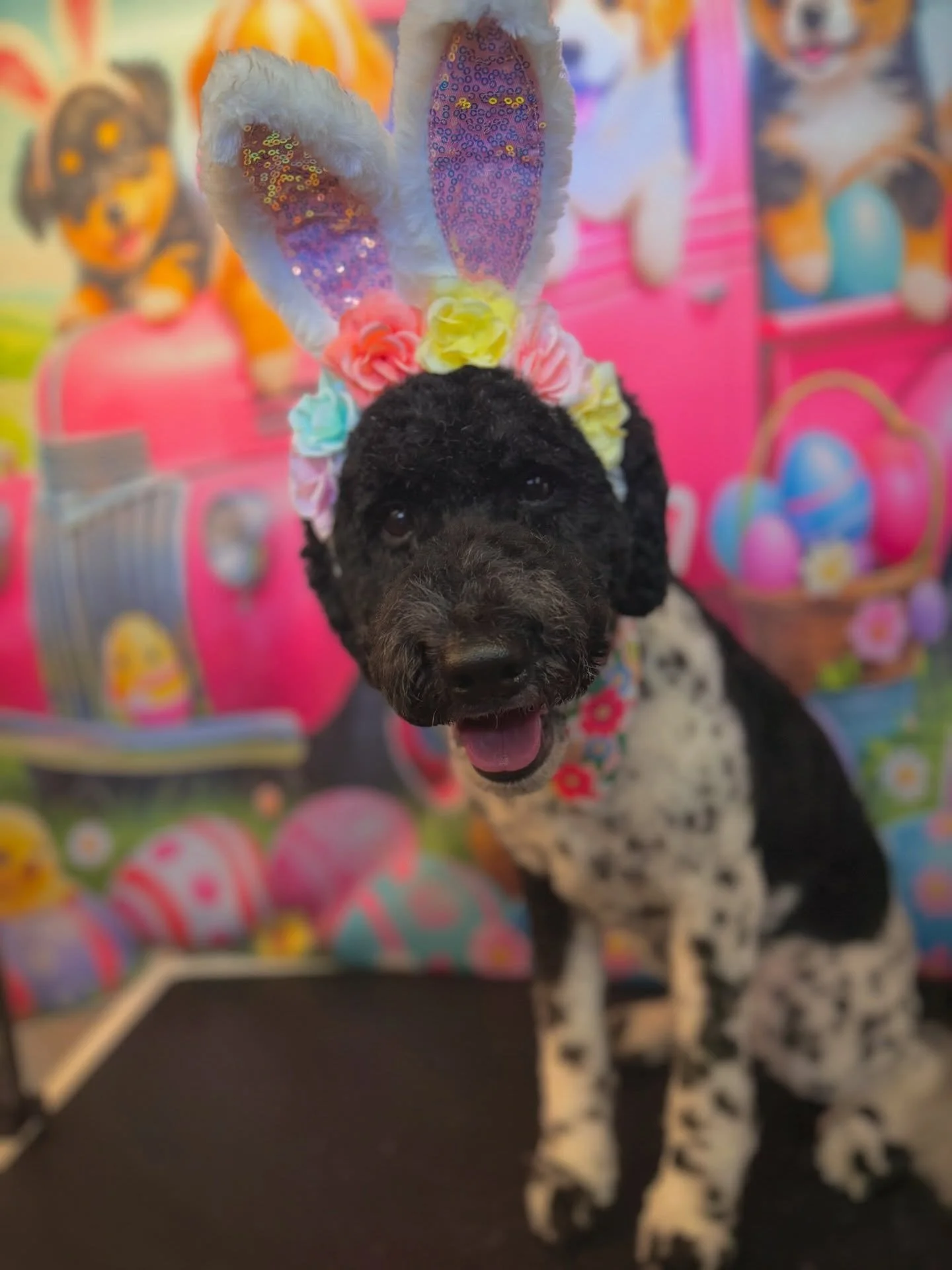 🐾🐣&mdash;bringing extra fluff, love, and tail wags to your basket today 💕🐶✨