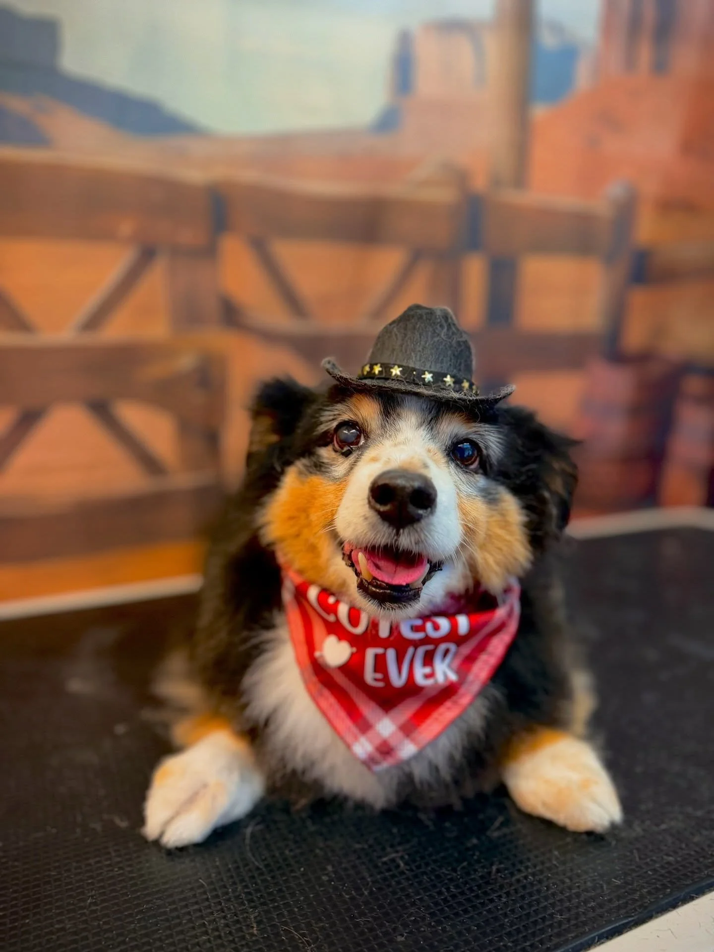 Love all these cutie patooties 🥹🥹