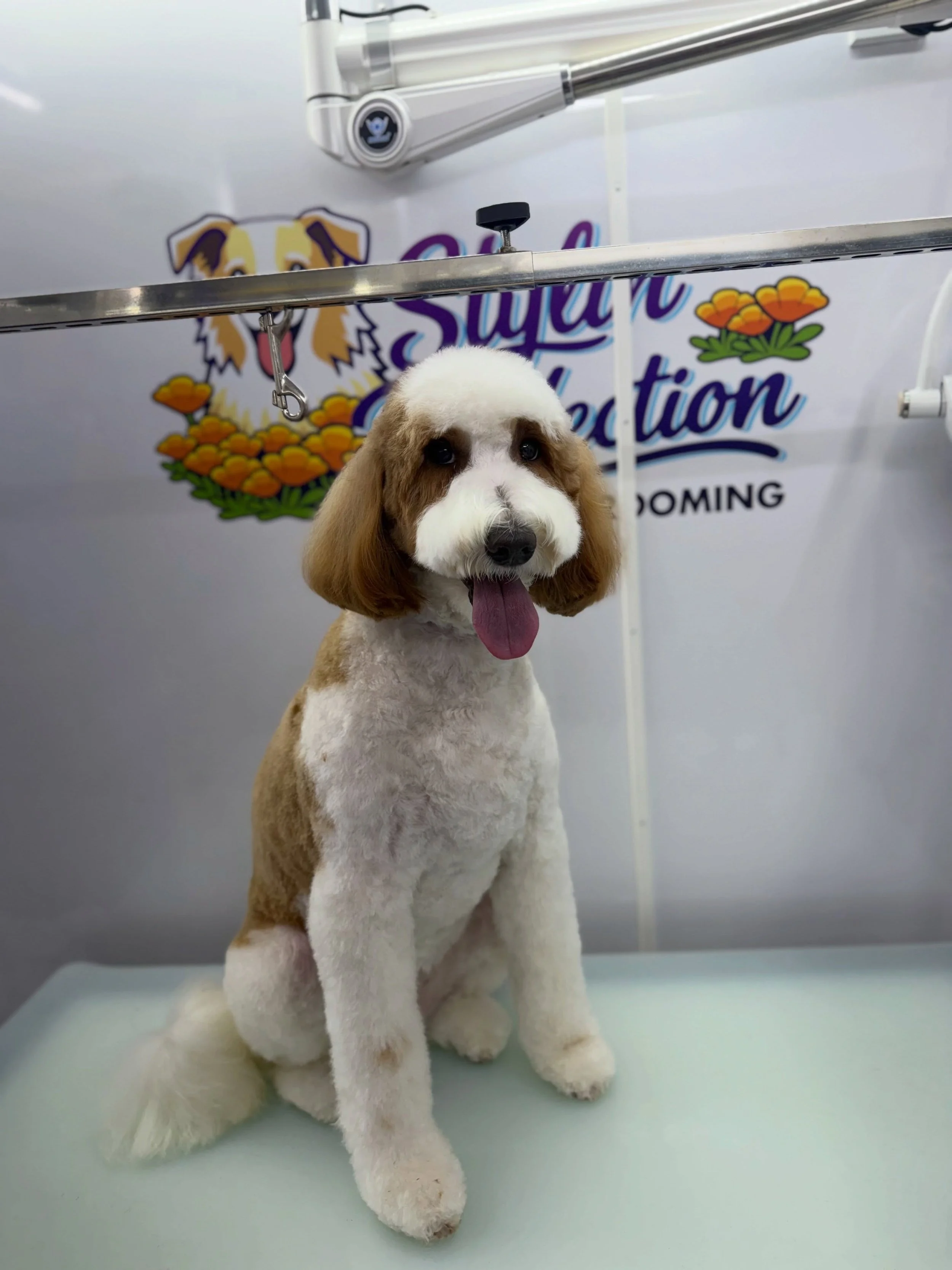 The best pups really make the job worth every bit of work