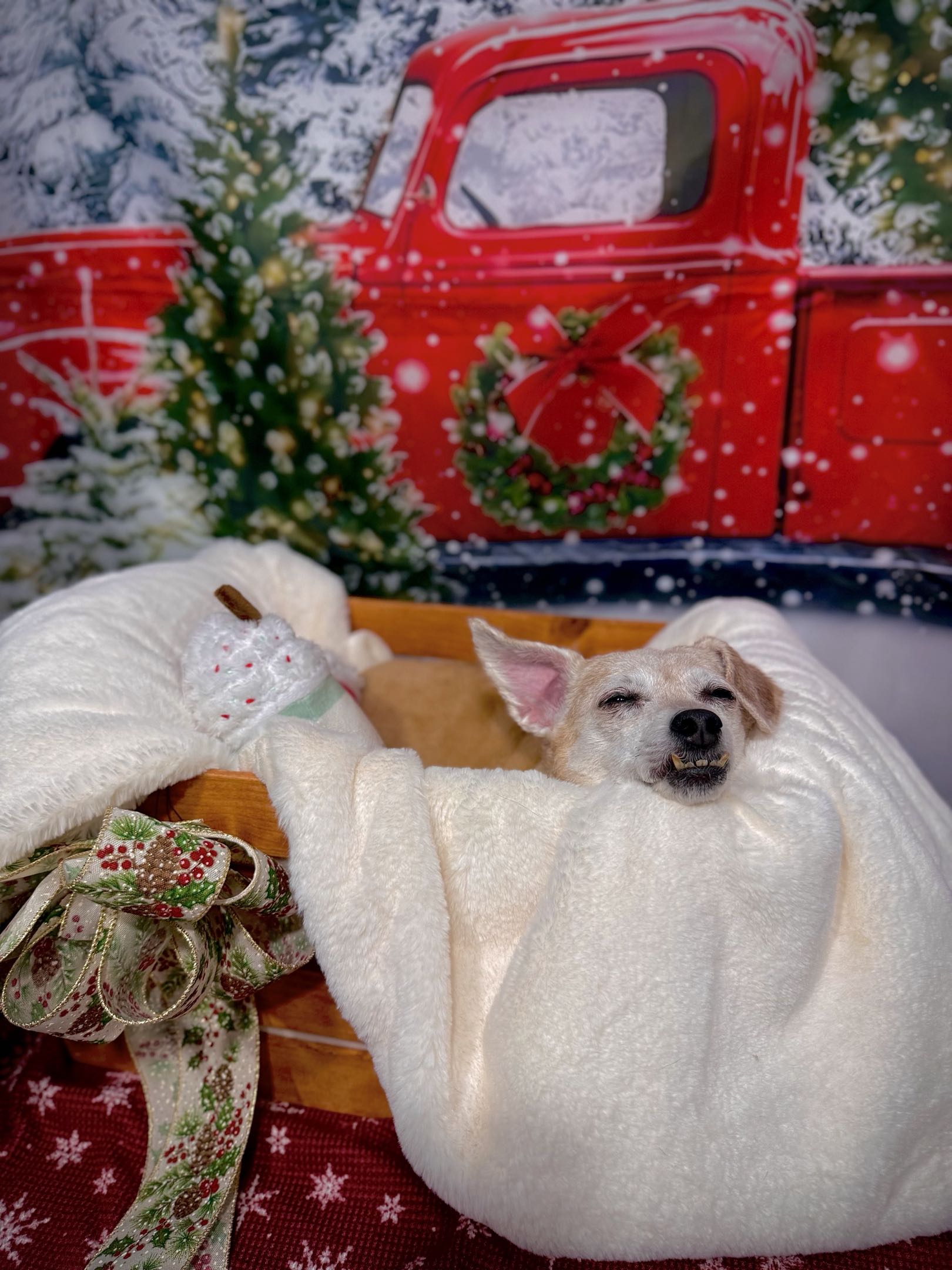 A small dog in a cozy white blanket appears to be smiling. The background features a snowy scene with a red truck decorated with Christmas wreaths and a Christmas tree.