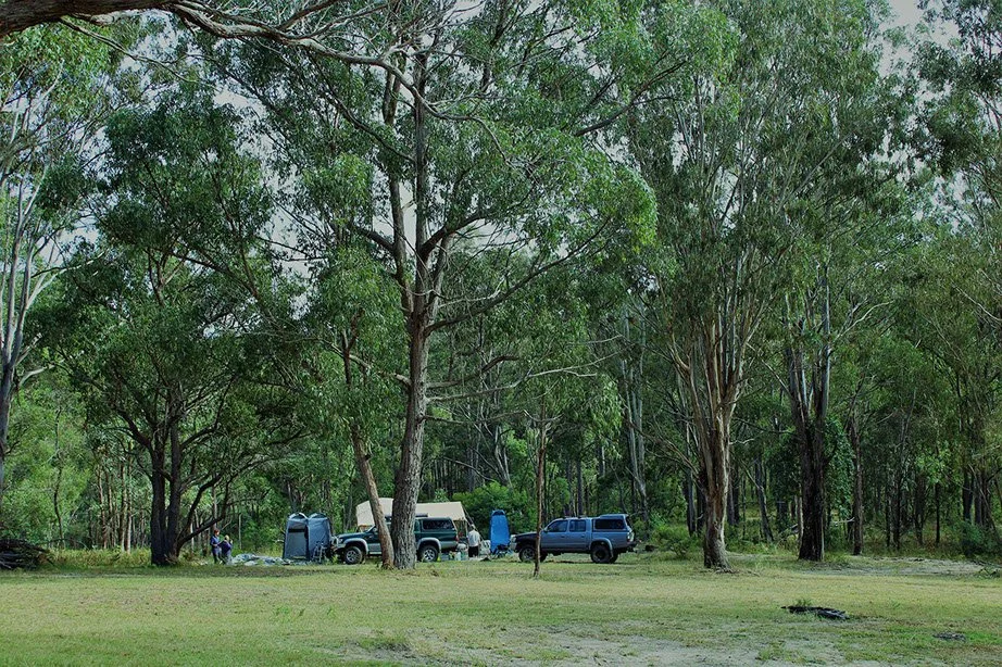 A campsite in a forest with several trees, tents, and parked vehicles, including a blue truck and a recreational vehicle.