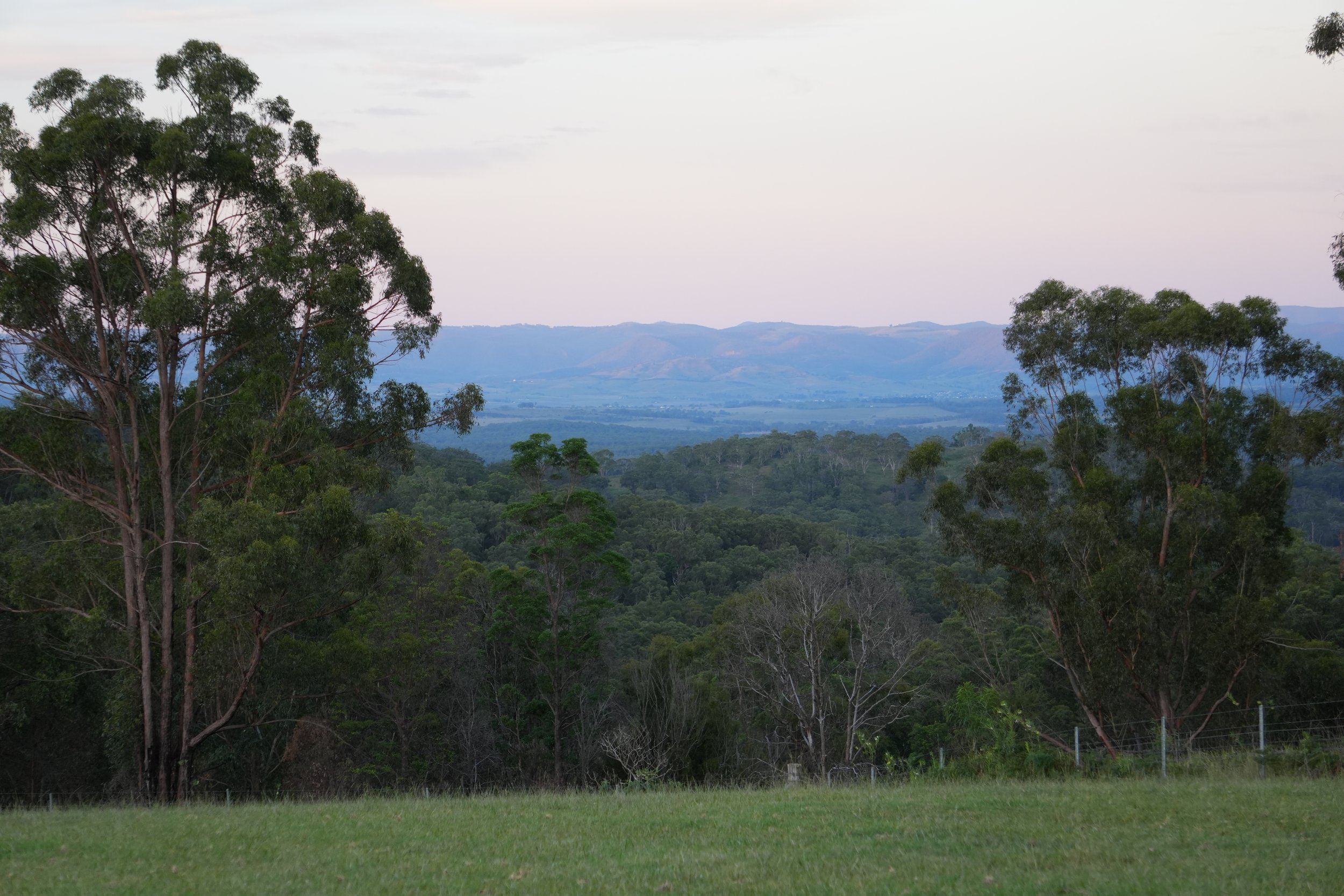 Landscape with trees in the foreground and distant hills under a cloudy sky.