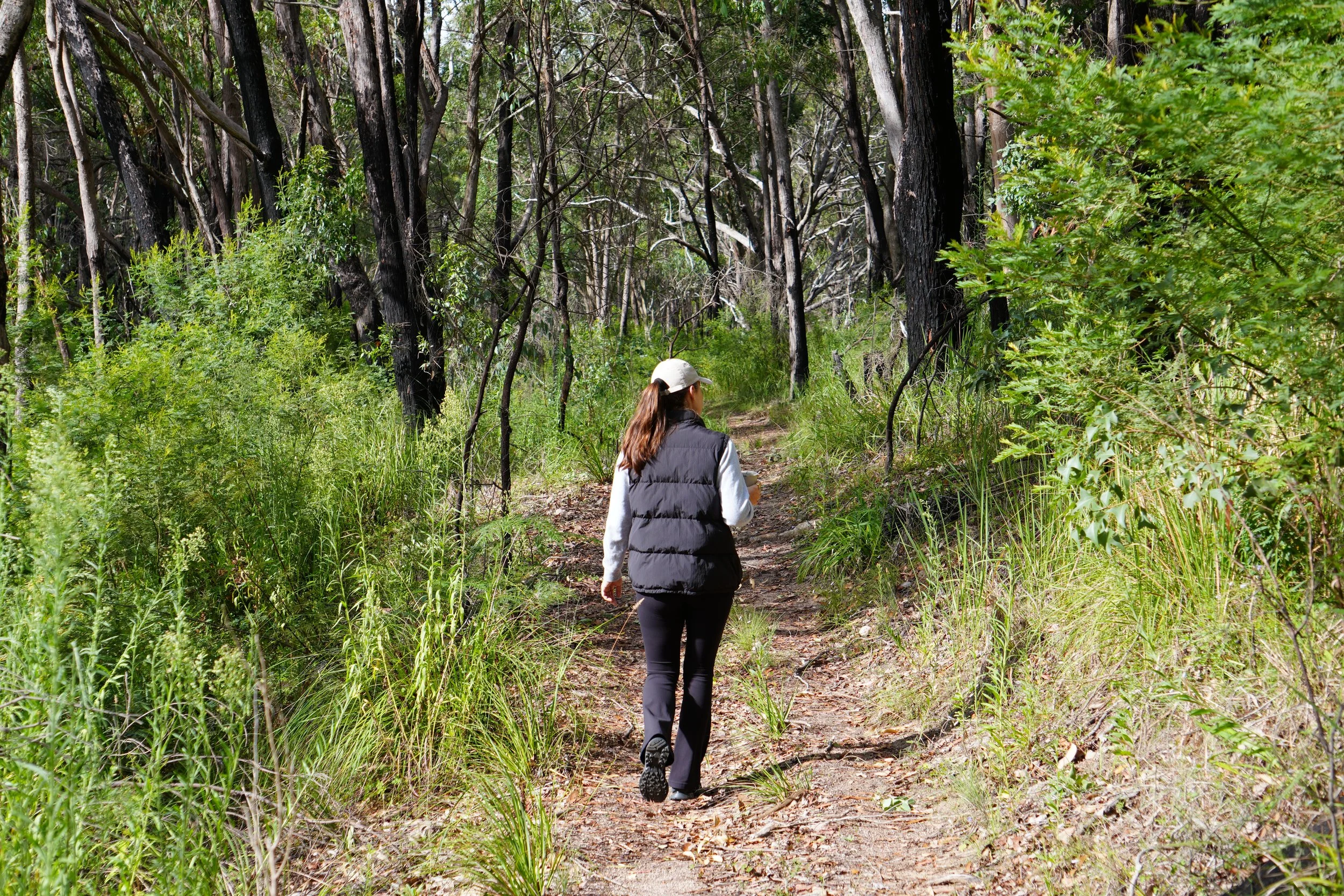 A woman hiking on a dirt trail through a lush, green forest with tall trees and dense foliage.