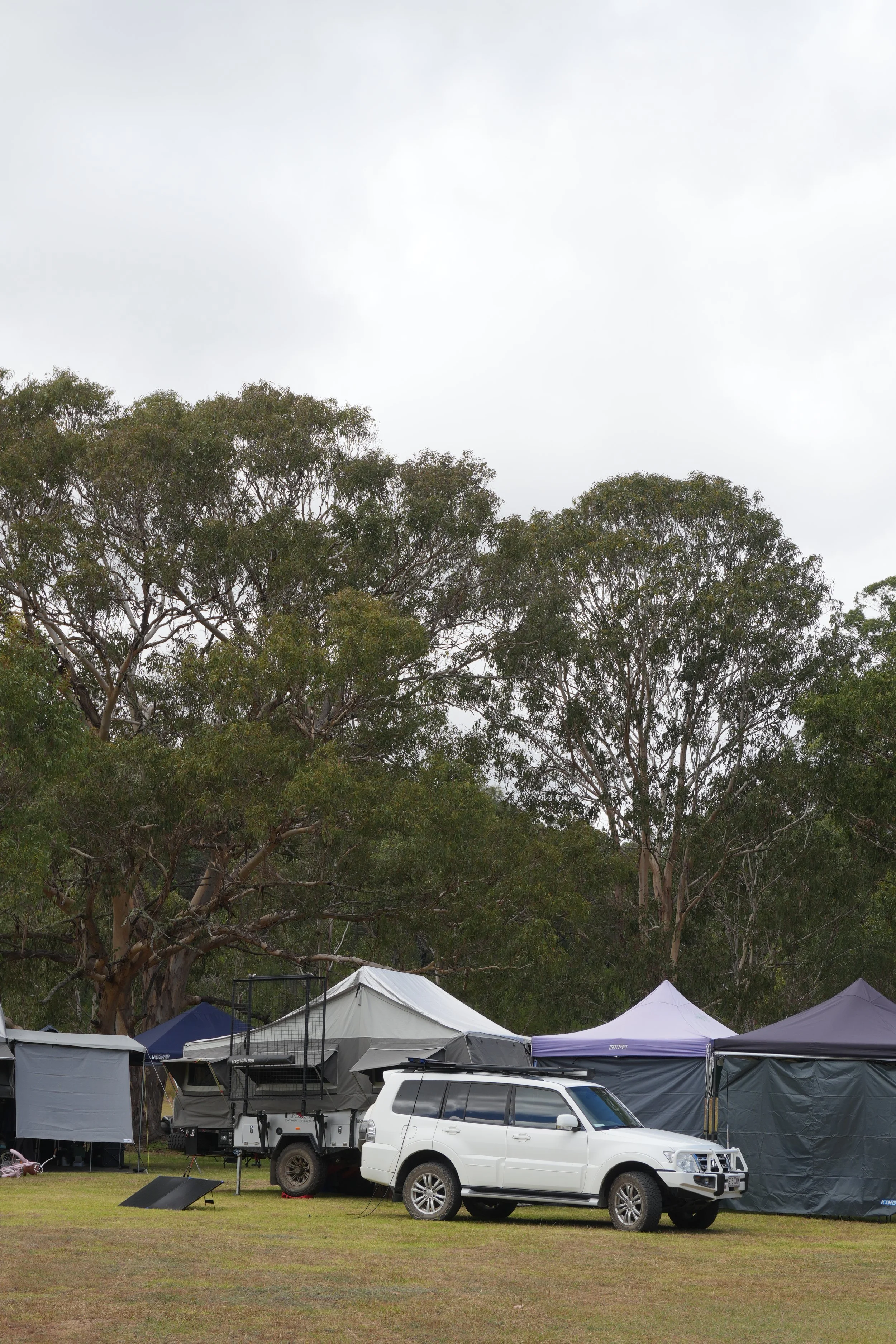 Camping scene with tents and a white SUV parked on grass, large trees in the background, overcast sky.