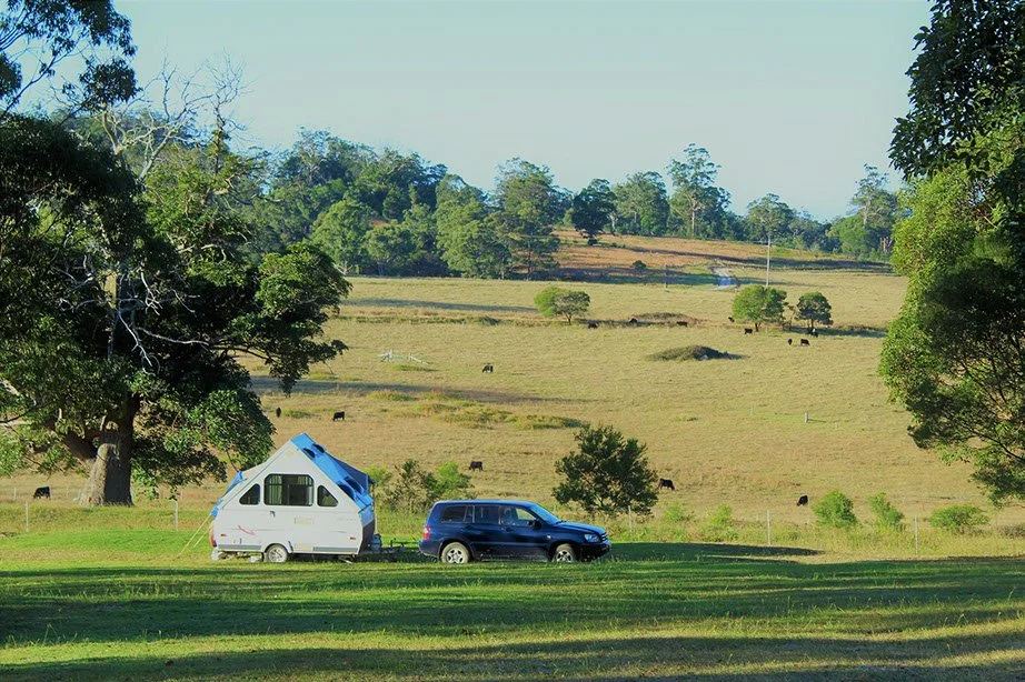 A campsite with a white camper trailer and a black SUV parked on a grassy area. The background features a large open field with grazing cows and a wooded hillside under a clear sky.