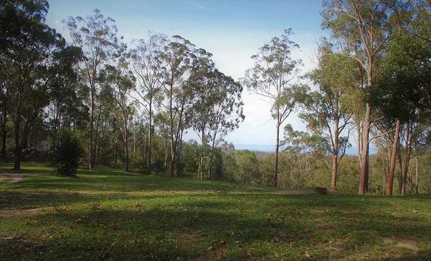 Open grassy area with tall trees and distant view of the sky and horizon.