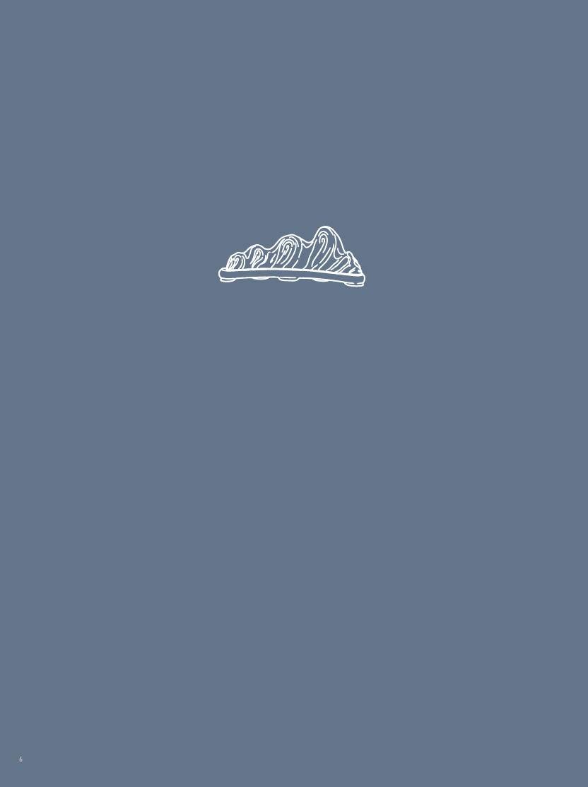 Blue-grey cover with line drawing of a brush rest