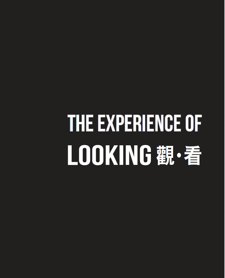 Rasti Chinese Art The Experience of Looking 2019