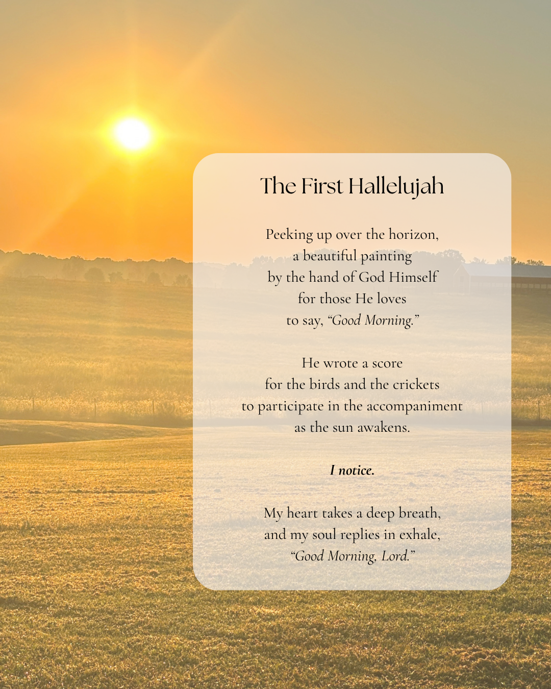 The First Hallelujah | Poetry + Photography 